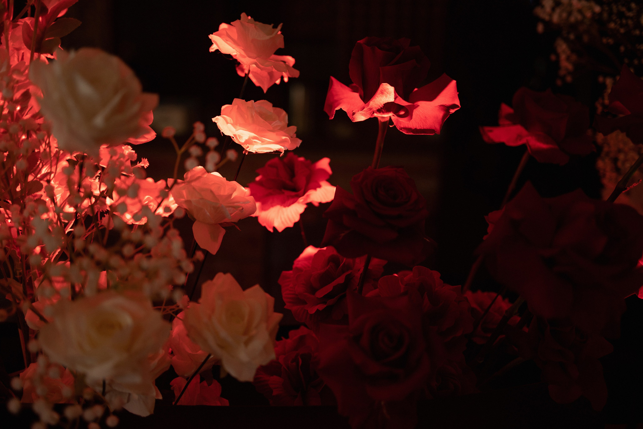 Алеся и Александр. Свадебный Фотограф Светлана Карпенко Ростов-на-Дону