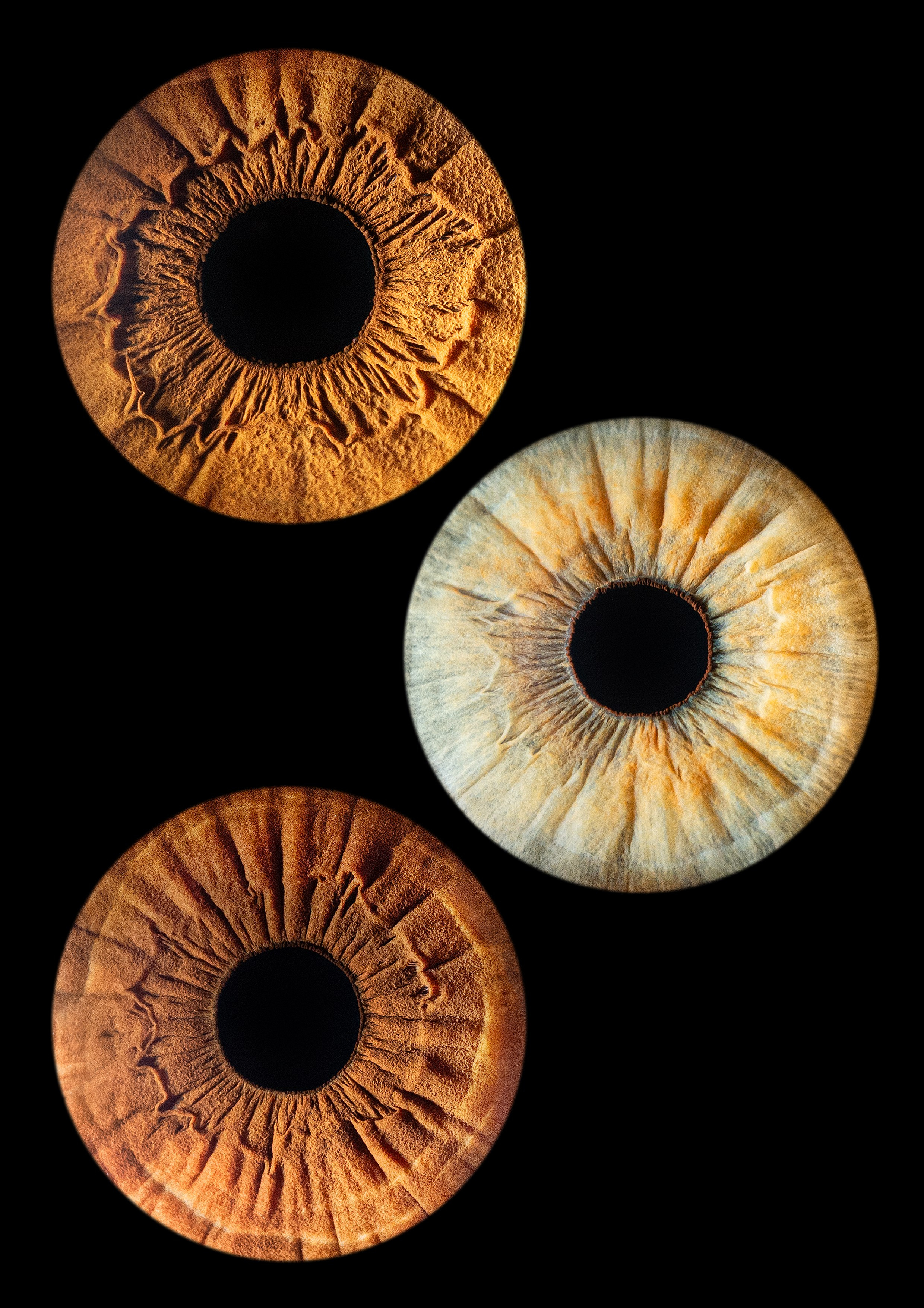 Примеры работ. Мой глаз