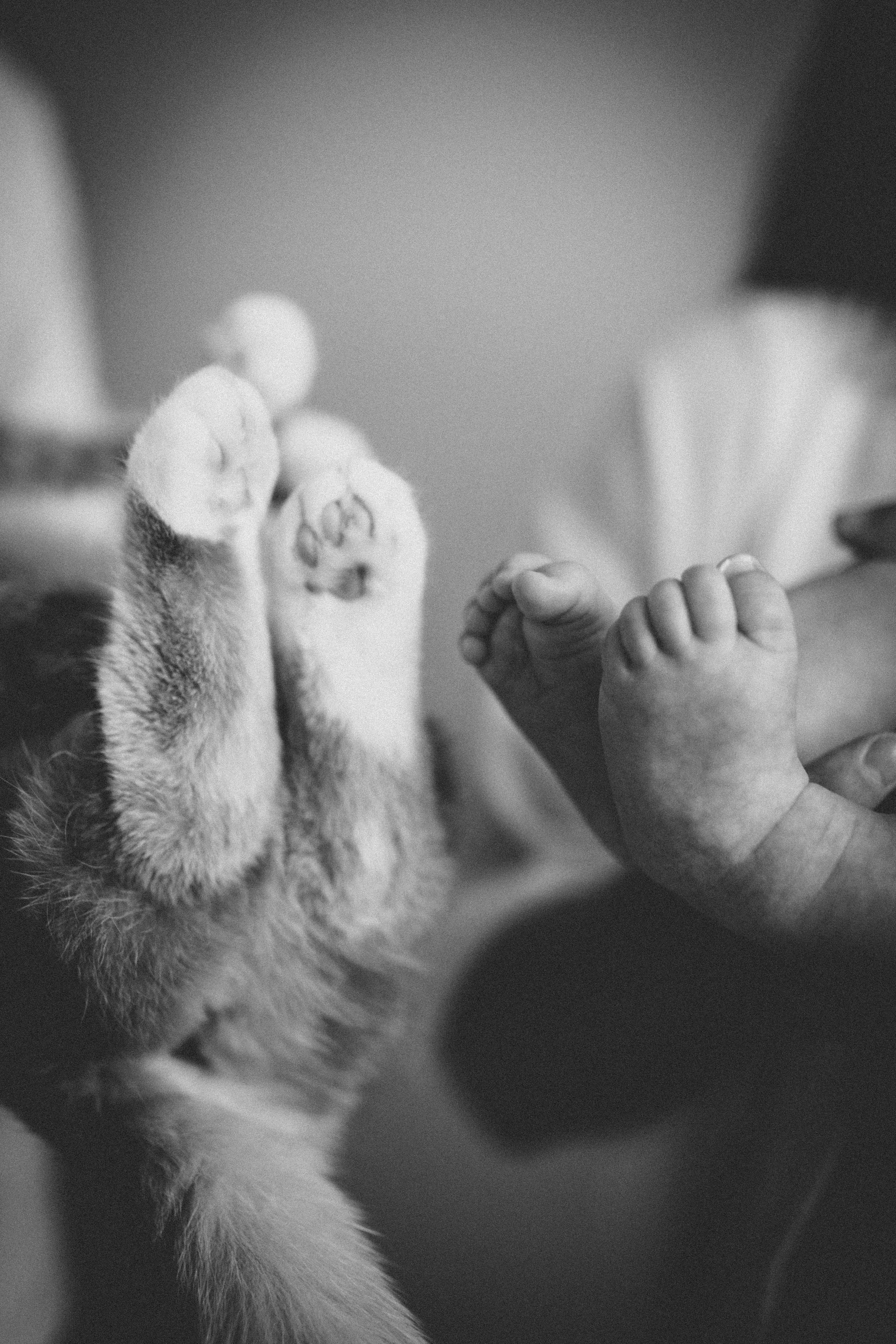 Аня, Кирилл и Ярослав. Семейный фотограф и фотограф на роды в Ростове-на-Дону Мухина Виктория