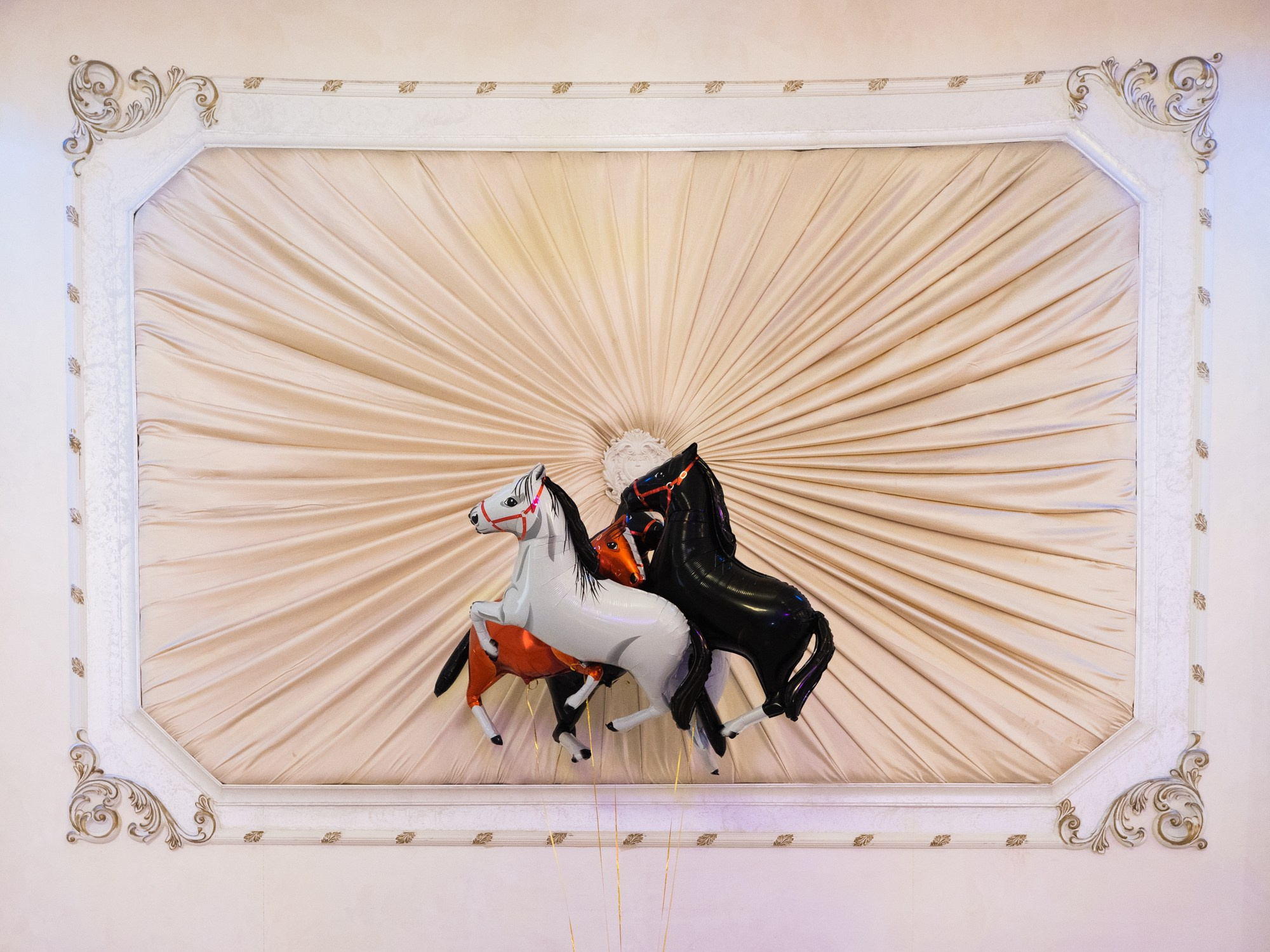 Международный День Цыган. Портретный и Репортажный фотограф в Москве