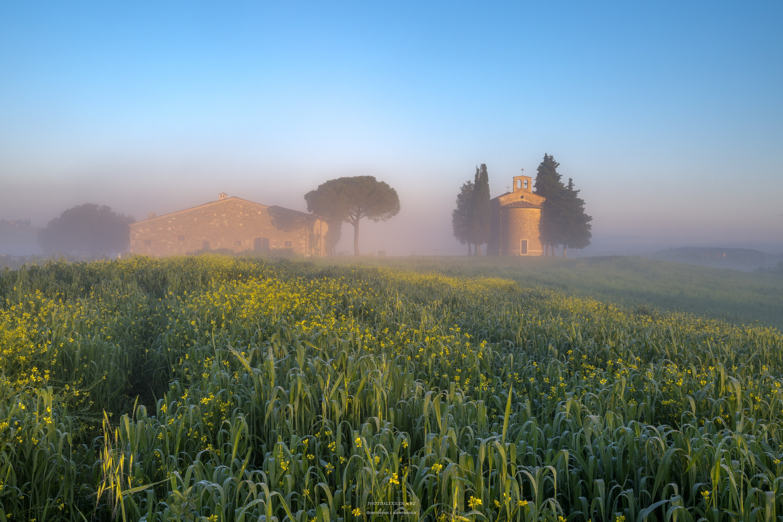 Волшебное утро в Тоскане. Авторские стильные фотокартины