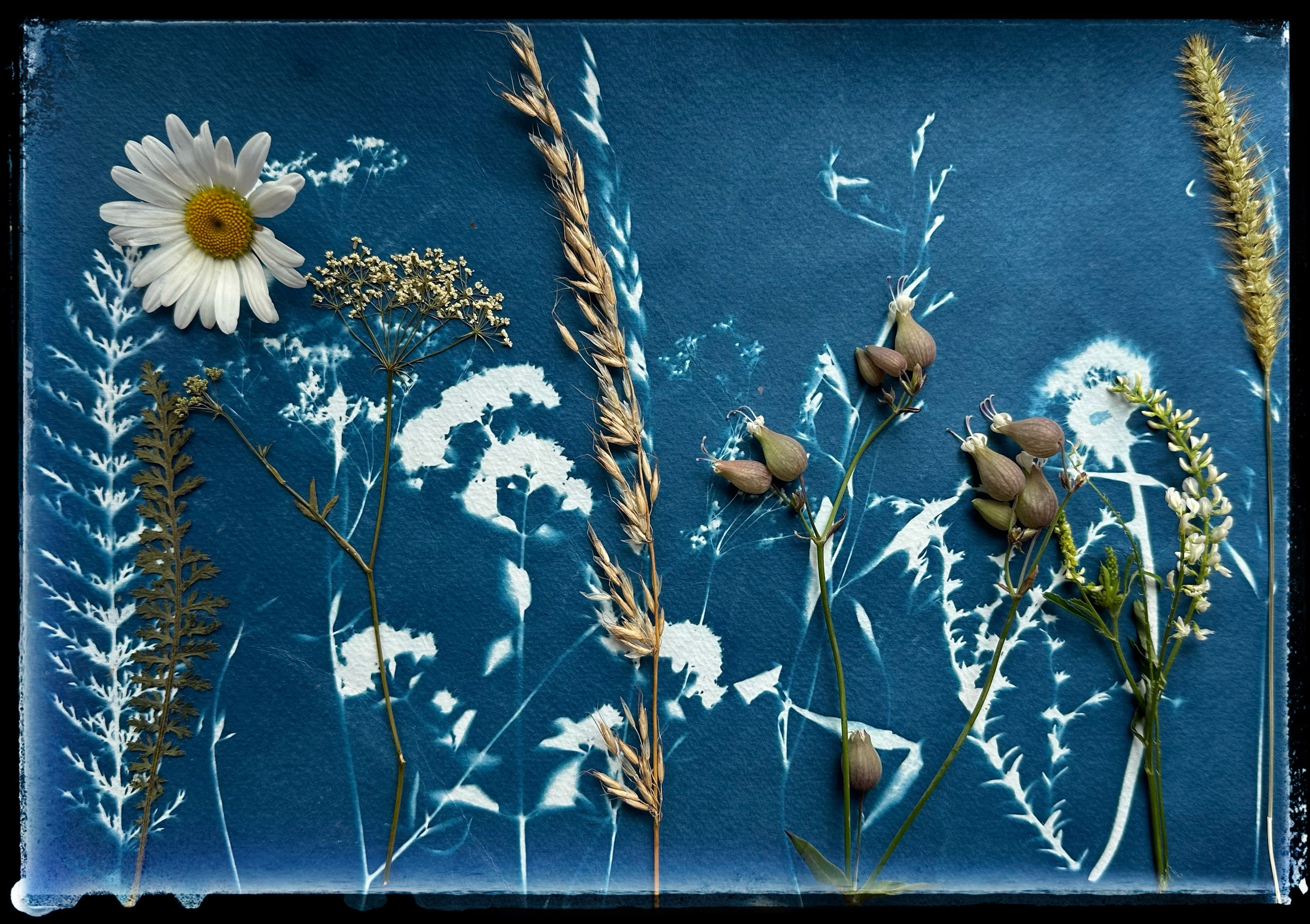 ART и Mixed media. Семейный LIFESTYLE фотограф в Москве