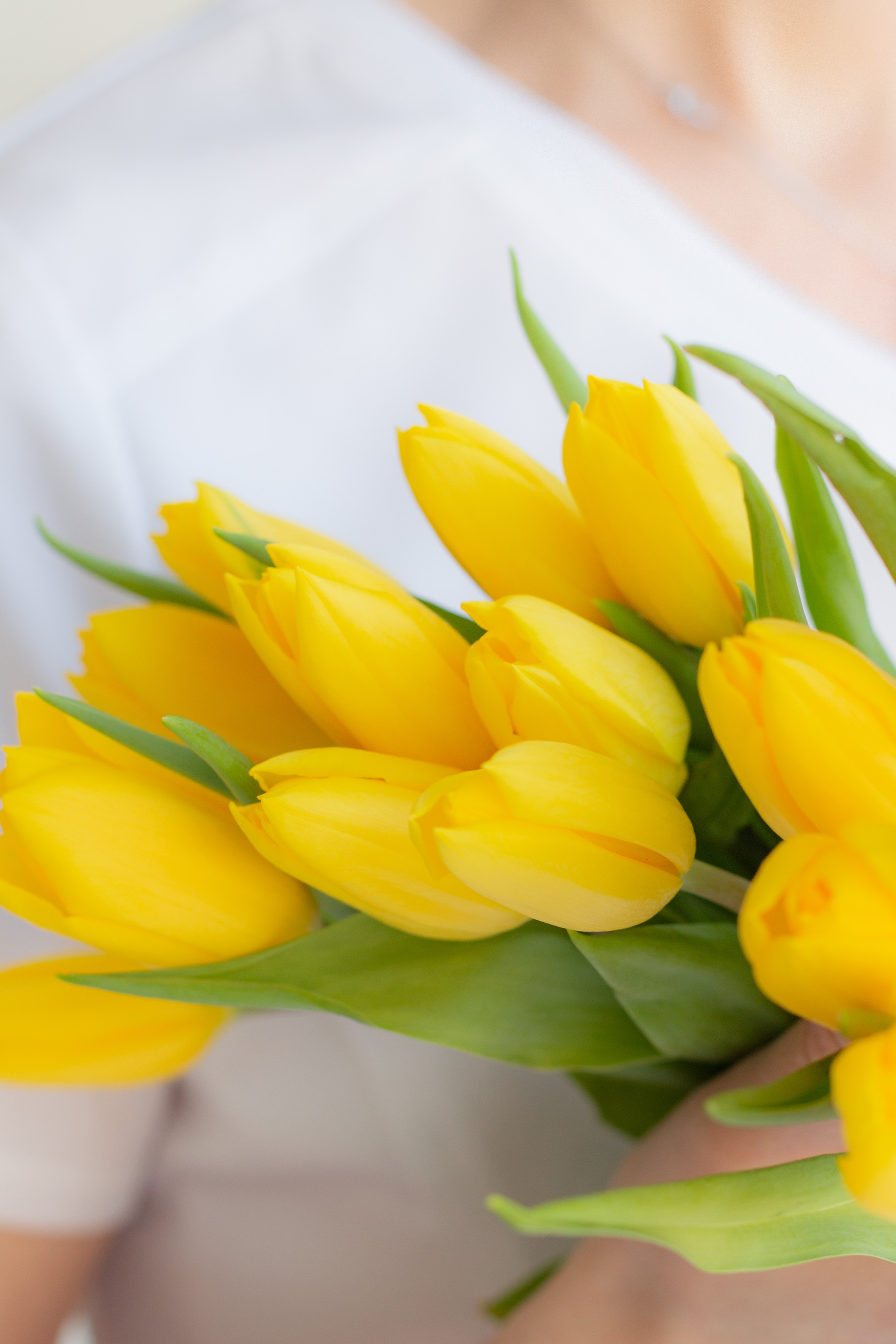 Контент съёмка для гинеколога-репродуктолога. Фотограф СПб Юлия Ерошевская, предметный фотограф