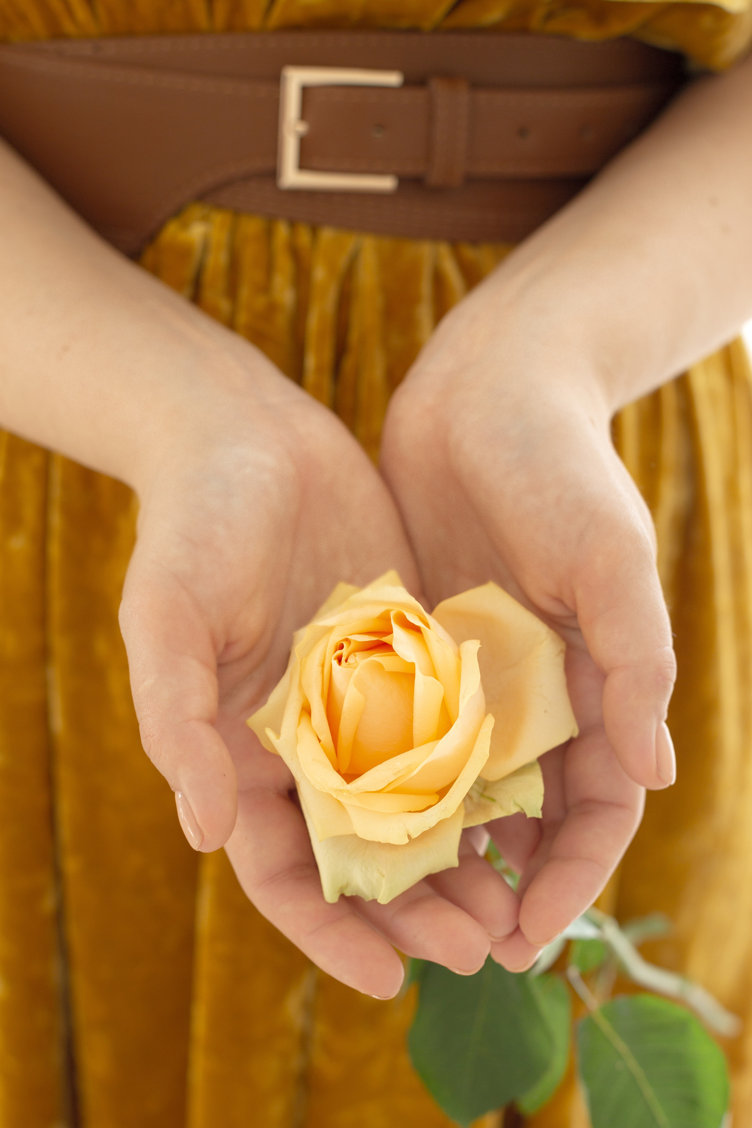 Контент съёмка для гинеколога. Фотограф СПб Юлия Ерошевская, предметный фотограф