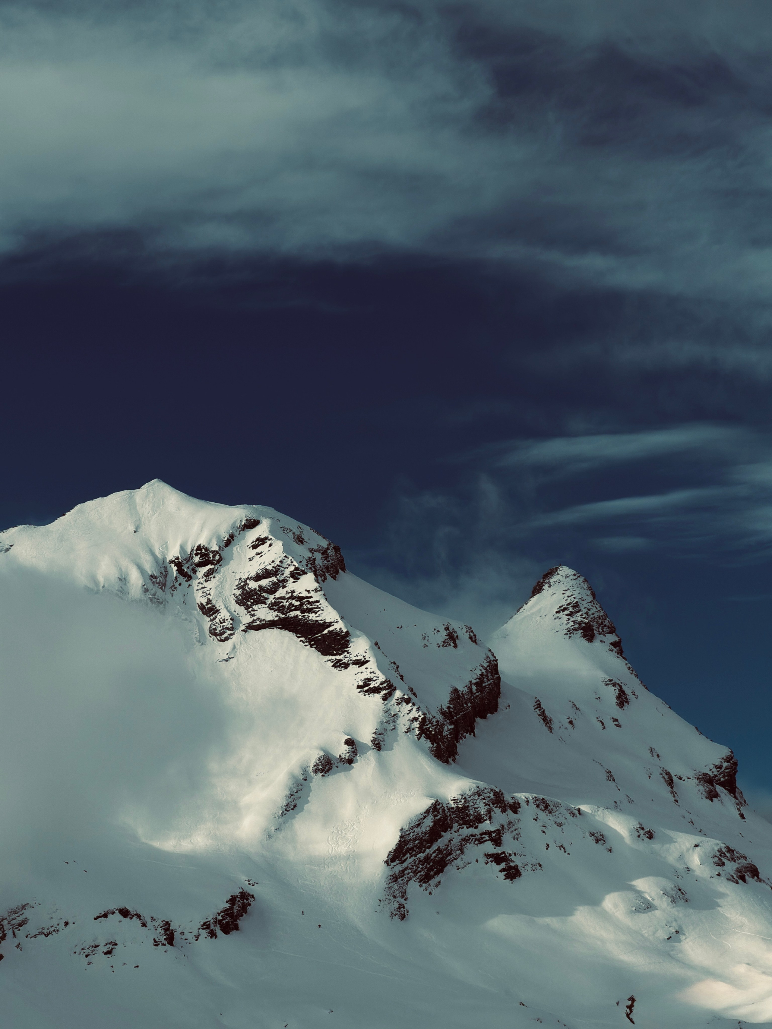 Grindelwald. Фотограф в Москве