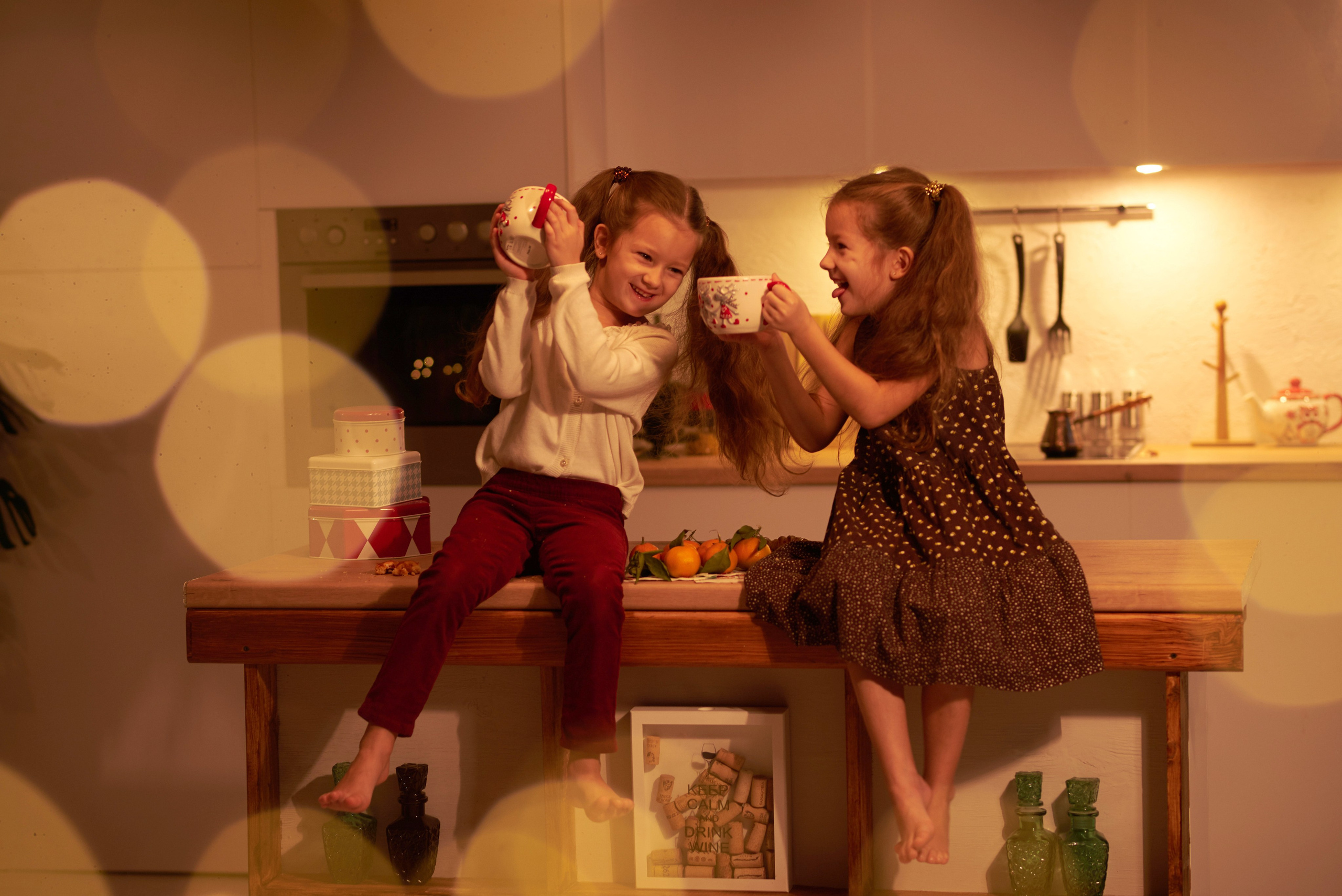 НГ. Семейный фотограф в Барнауле, Горный Алтай, Заринск, Алейск