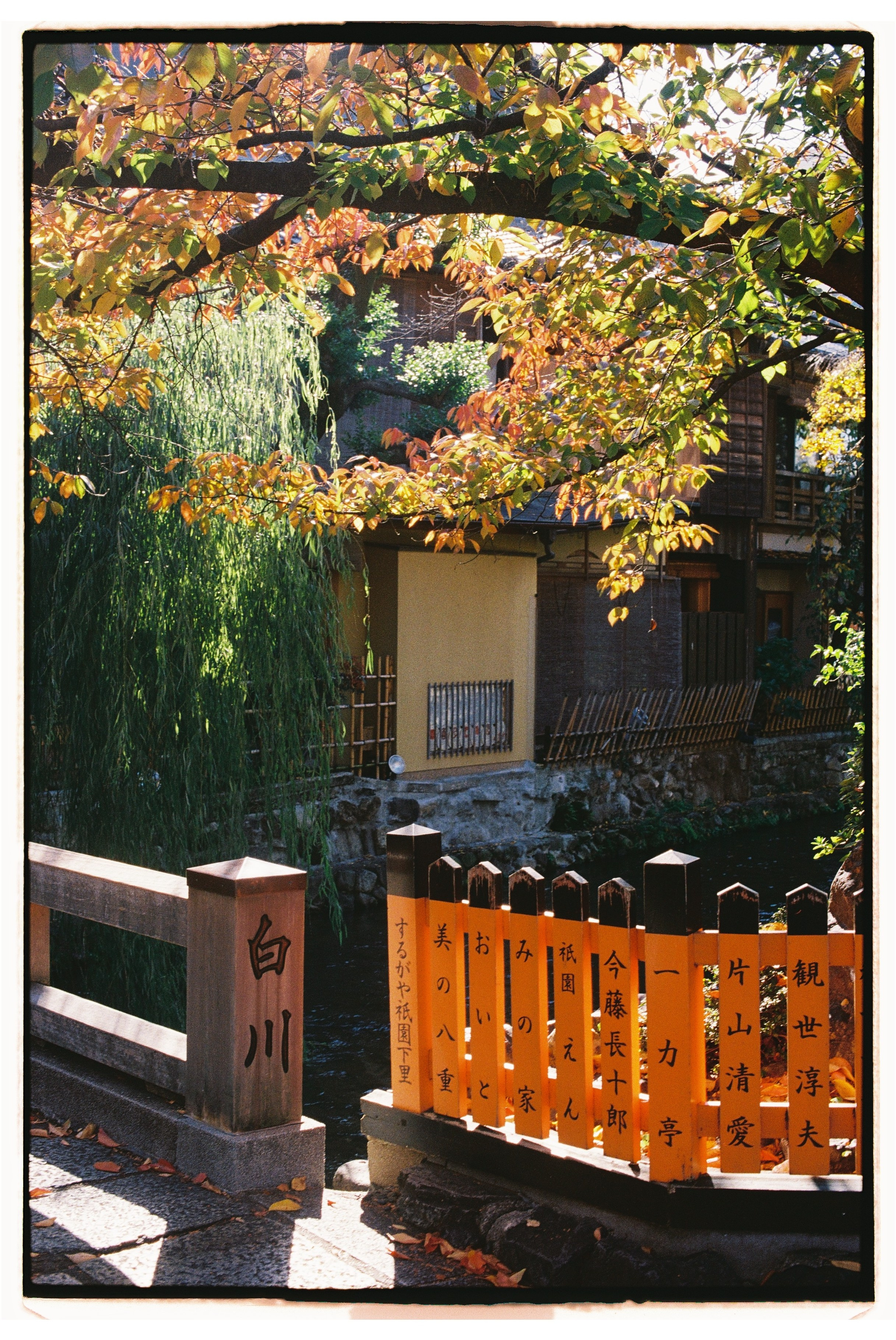 Asia. Olya Filina | Moscow Photographer