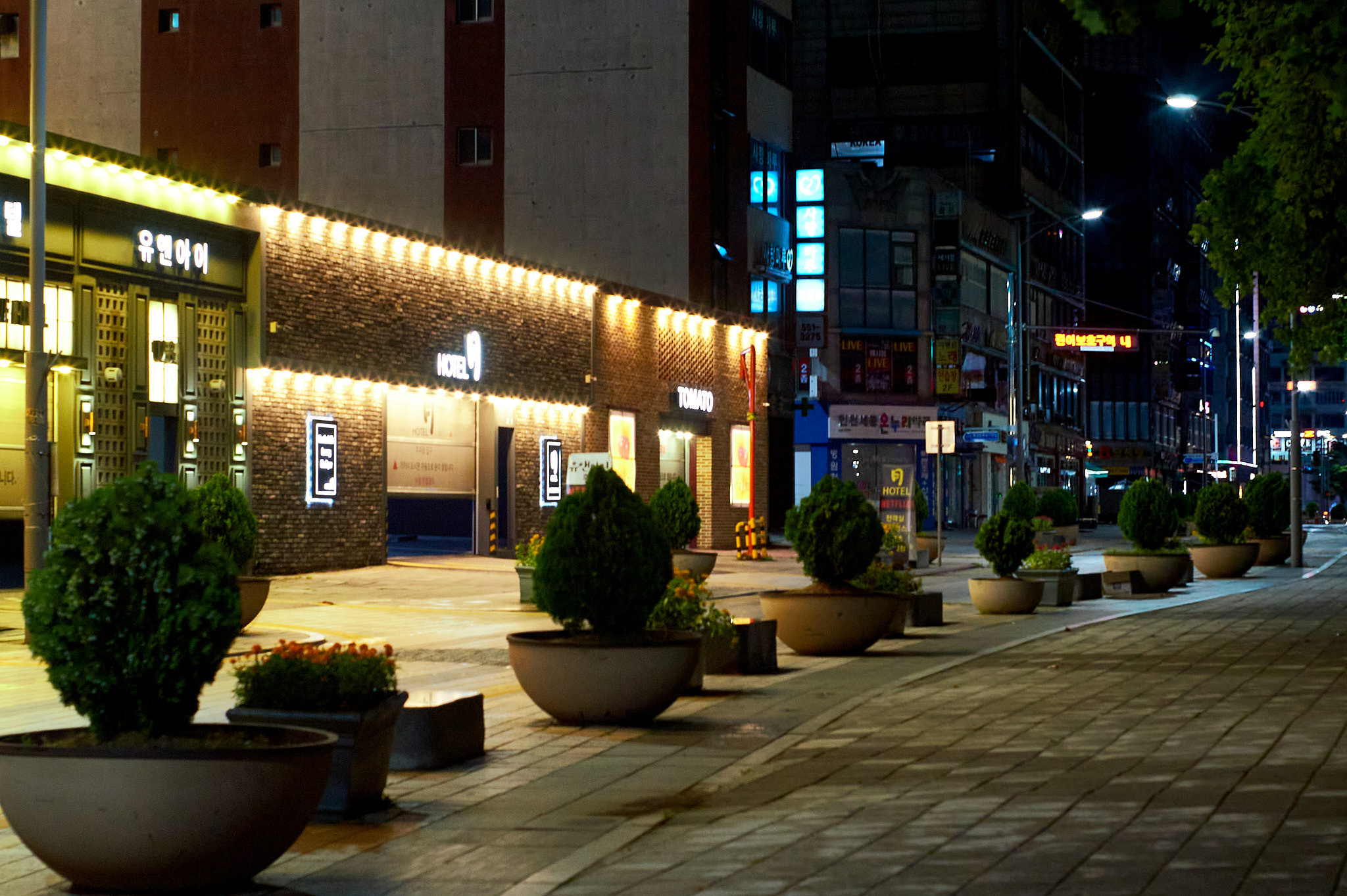 Landscapes and city. Photographer in Kaliningrad