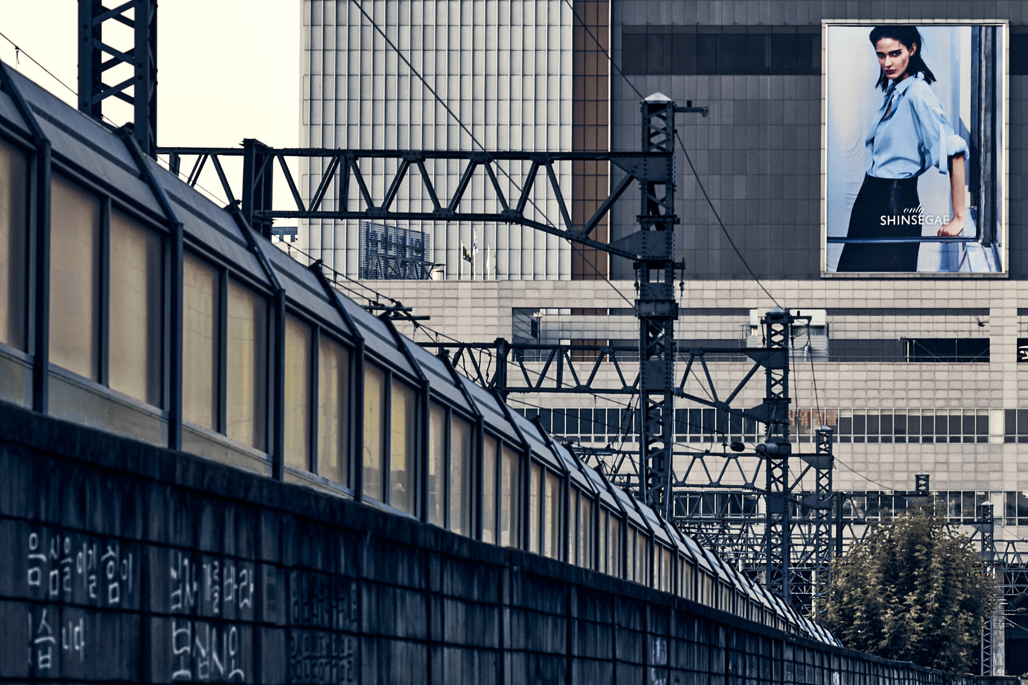 Landscapes and city. Photographer in Kaliningrad