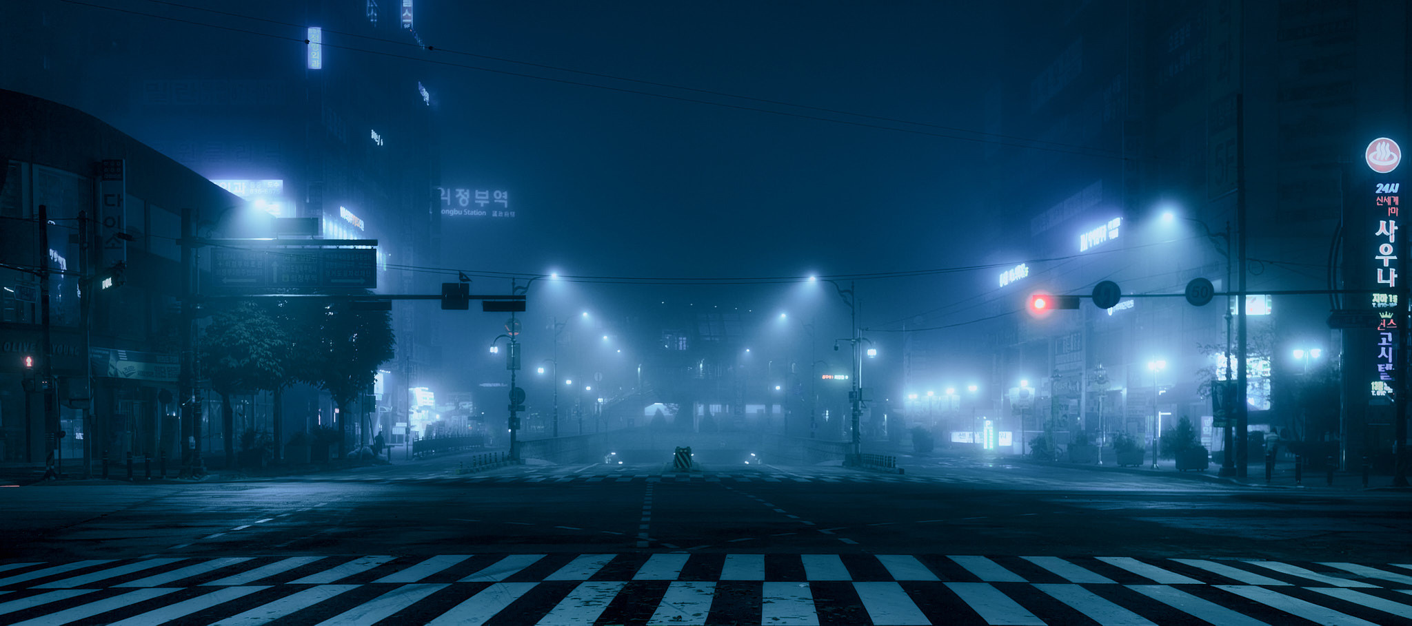 Landscapes and city. Photographer in Kaliningrad