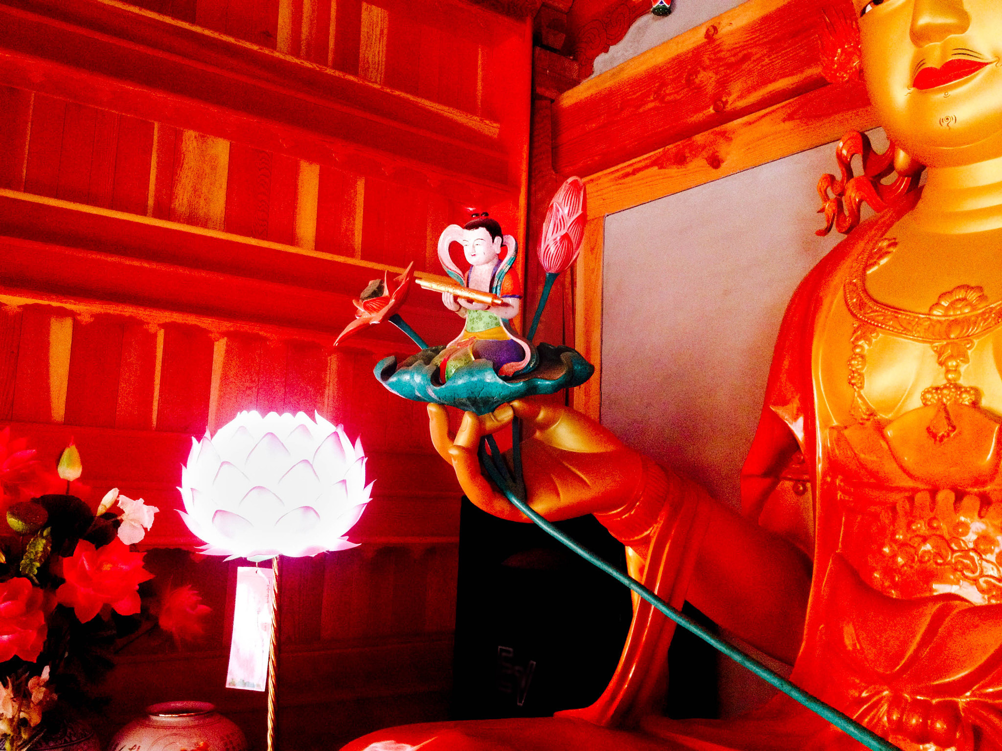 Other. Photographer in Kaliningrad