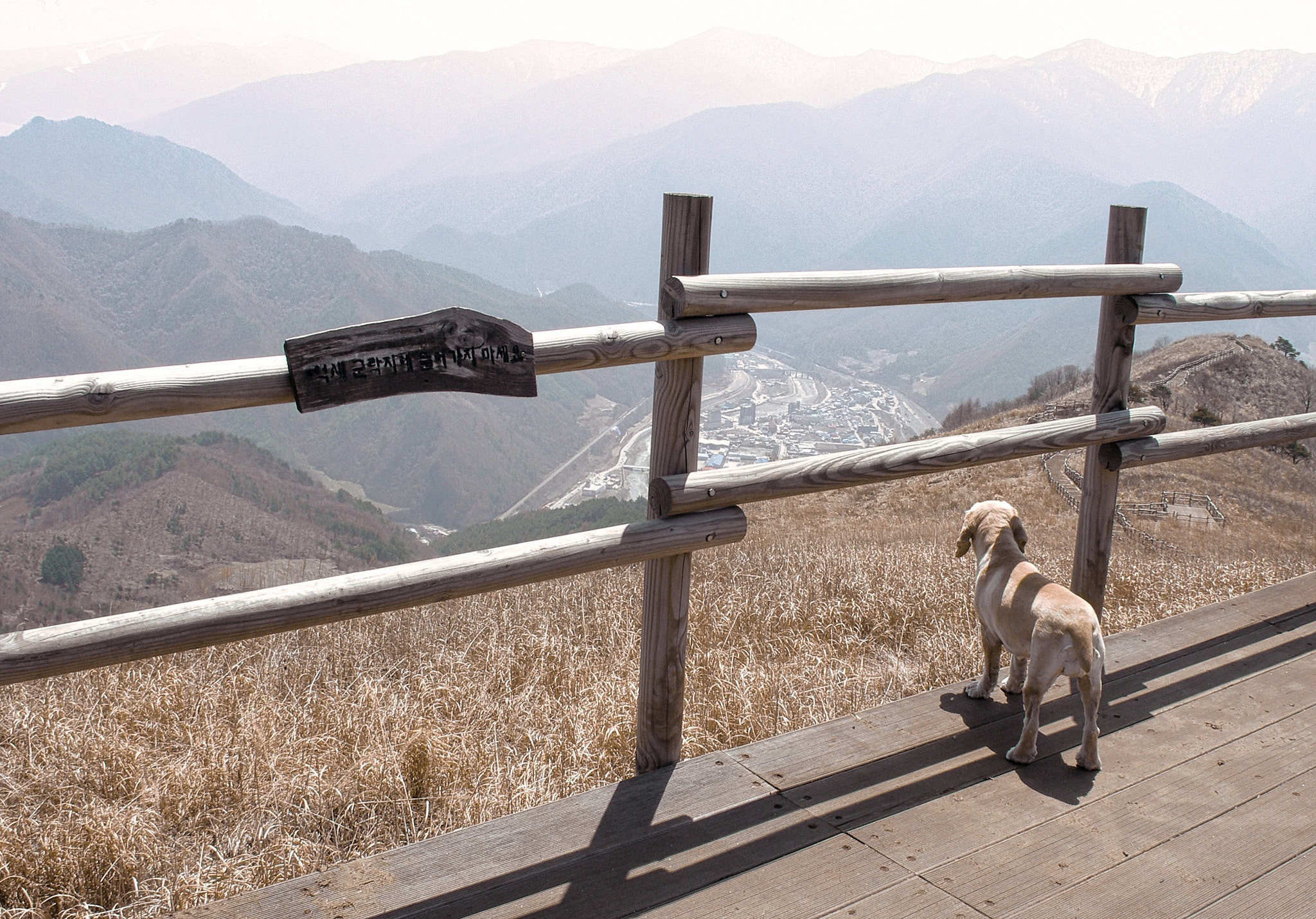 Landscapes and city. Photographer in Kaliningrad