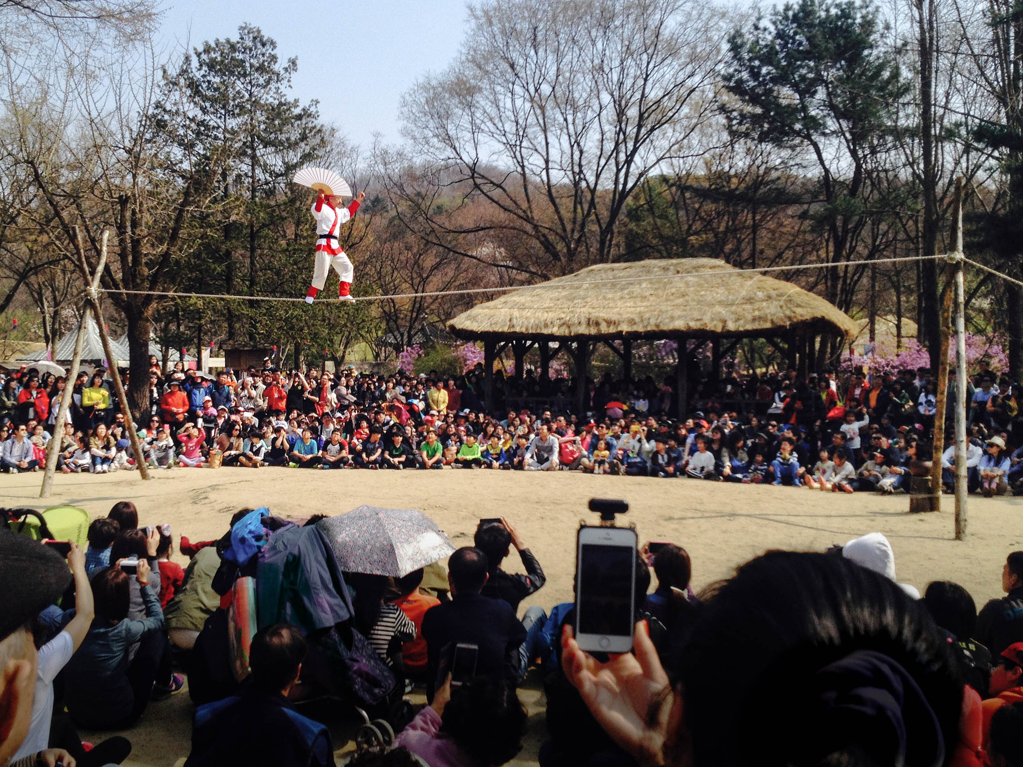 Other. Photographer in Kaliningrad