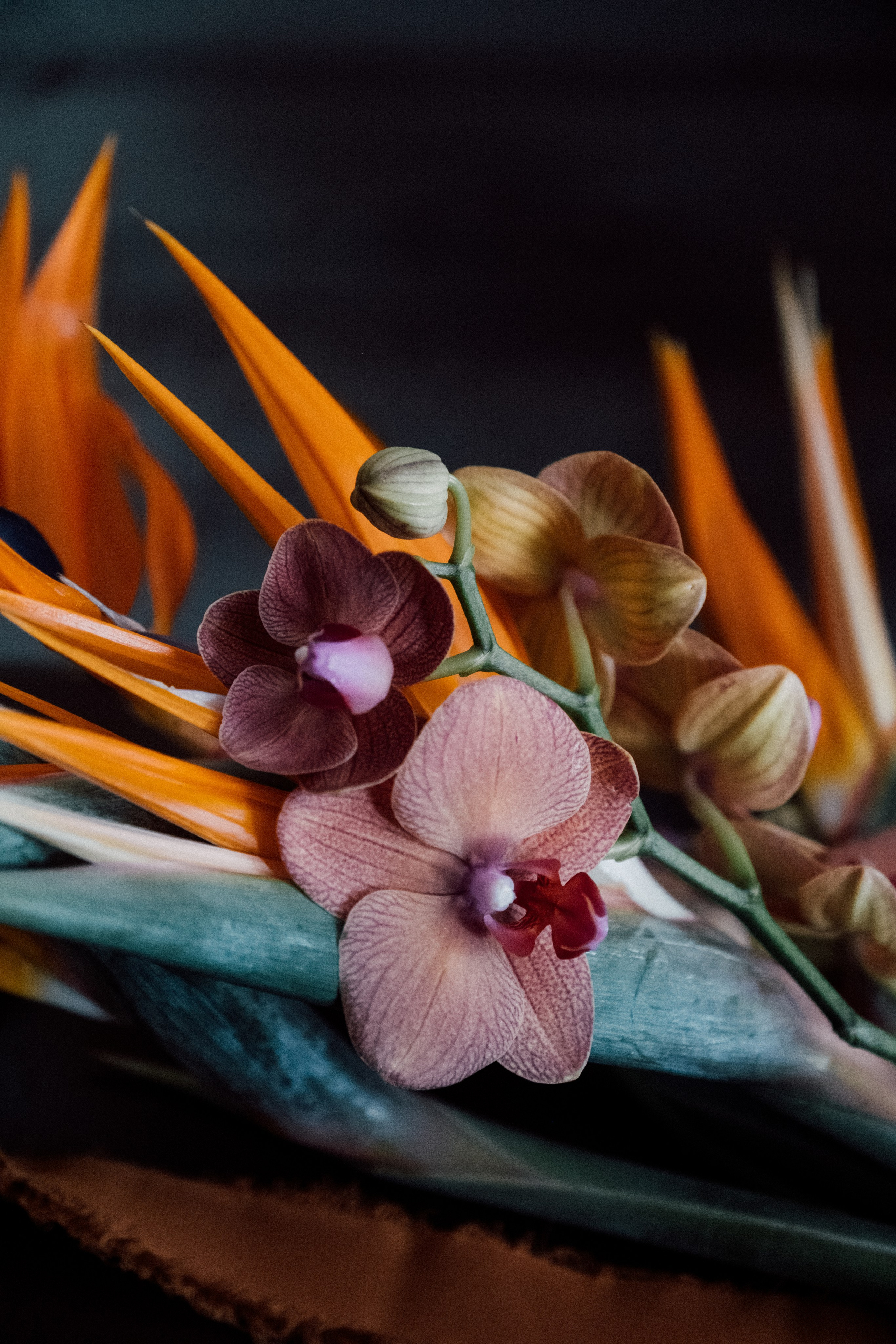 Аркея. Свадебный Видеограф Фотограф в Сочи