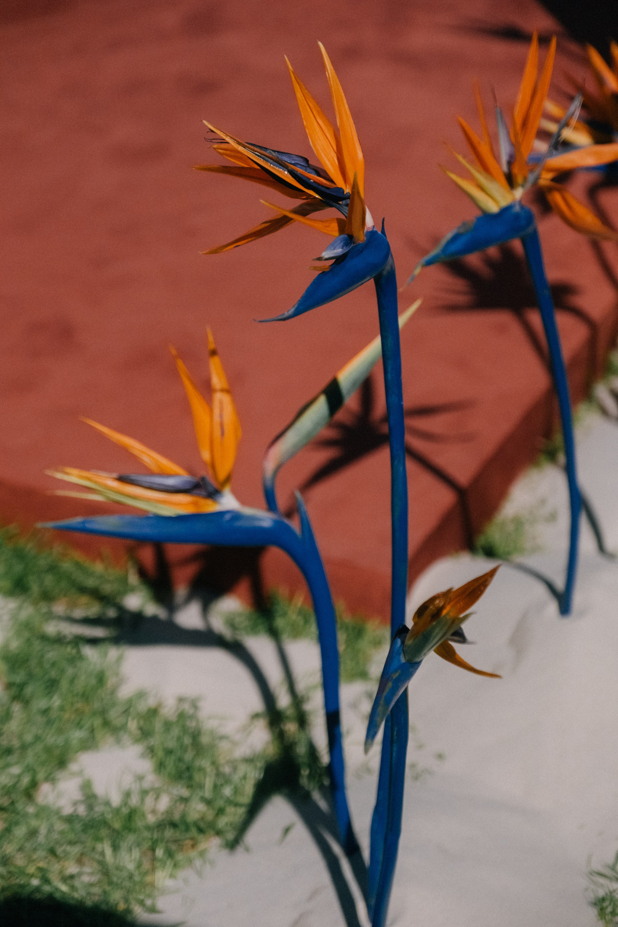 Аркея. Свадебный Видеограф Фотограф в Сочи