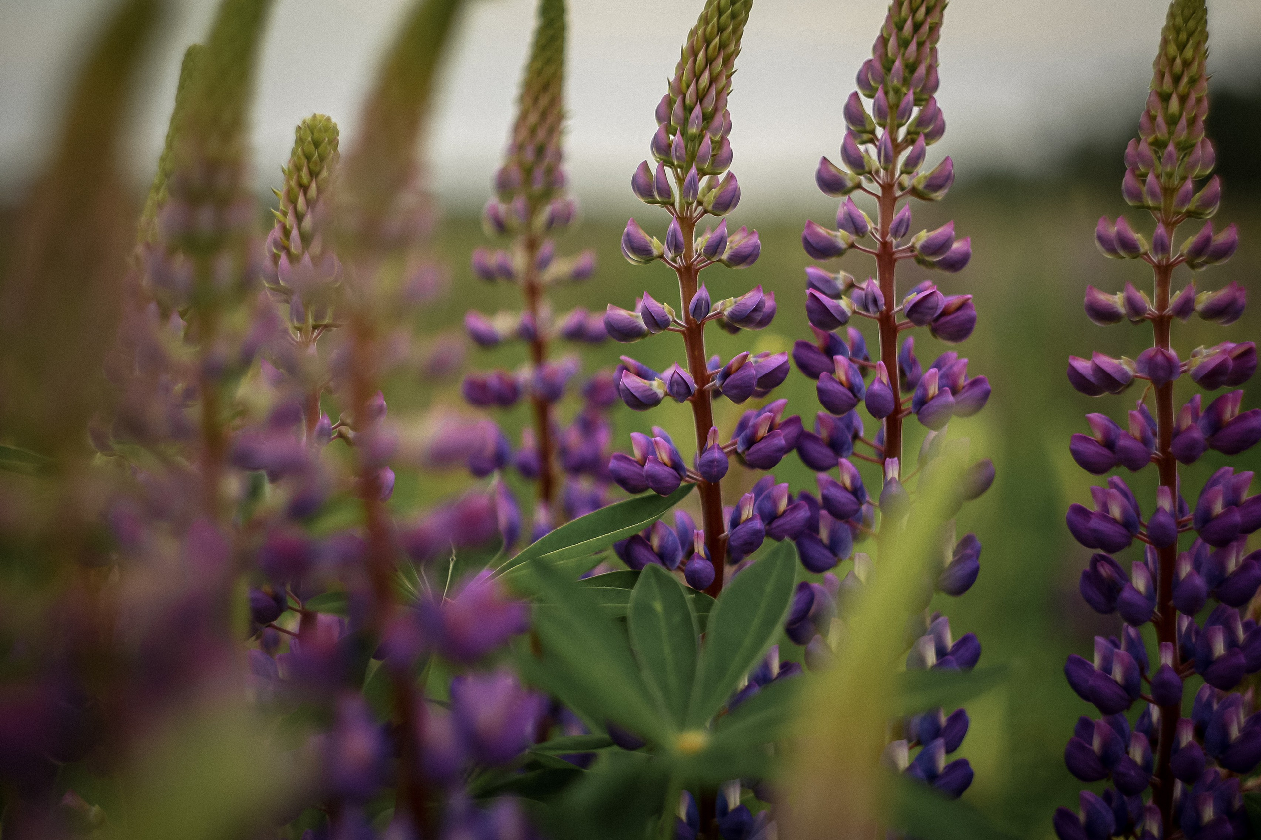 Магия обыкновенного. Фотограф-документалист и фототерапевт Настя Китаева. Город Москва