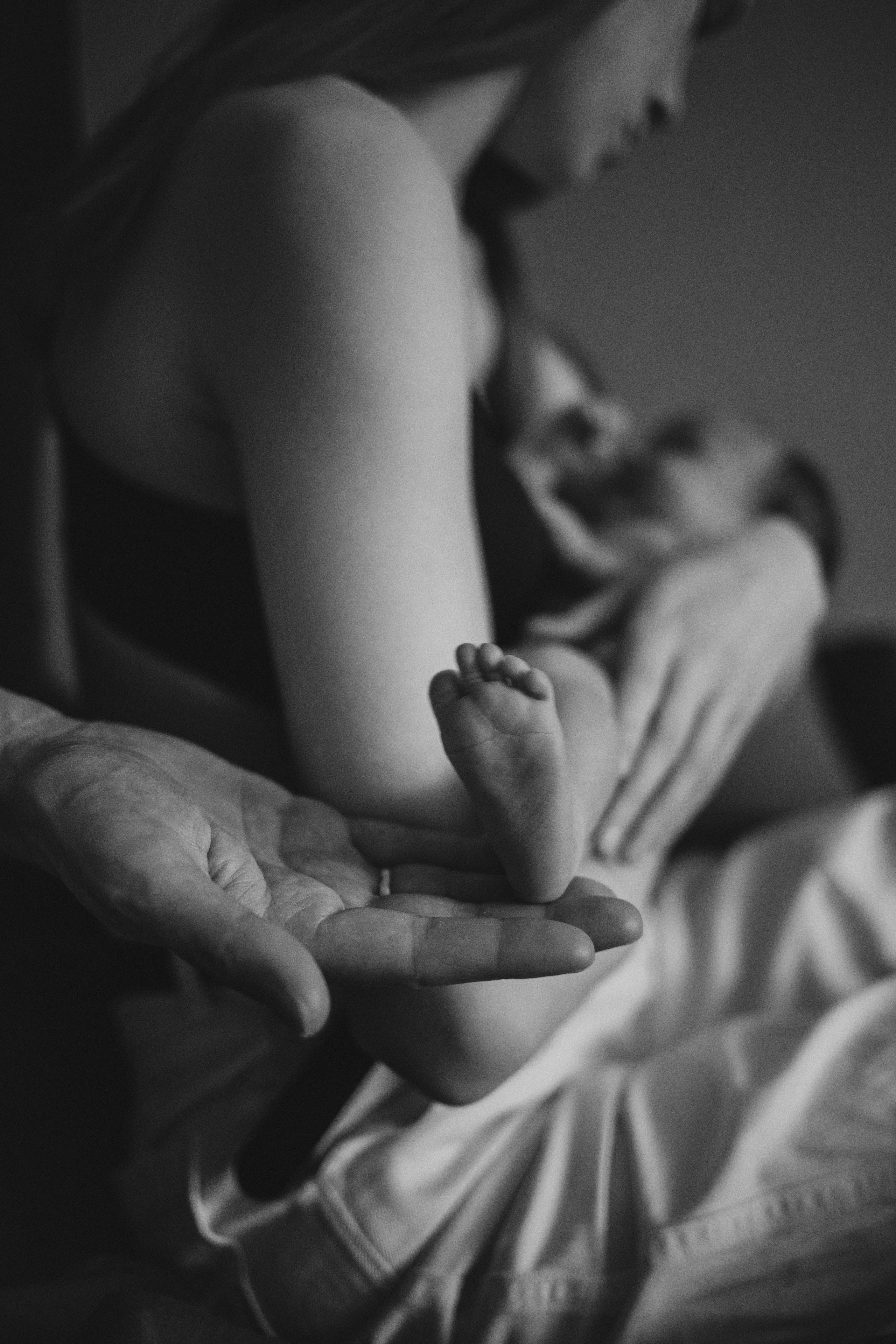 Юра, Саша и Софья. Семейный фотограф в Москве Валерия Мясникова