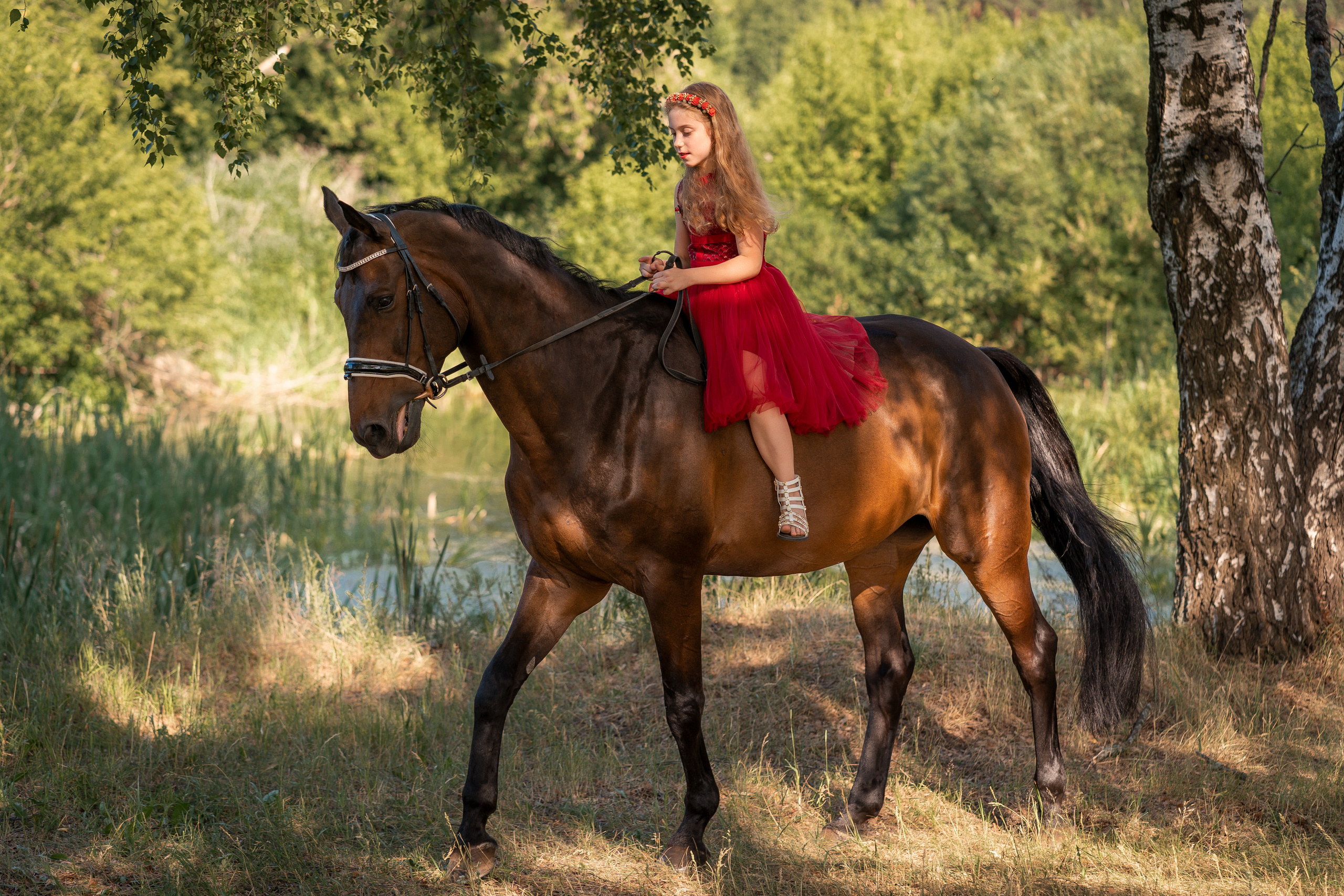 Творческая съёмка в стиле «КОННАЯ ПРОГУЛКА». Свадебный и семейный фотограф Ольга Батова в Ярославле