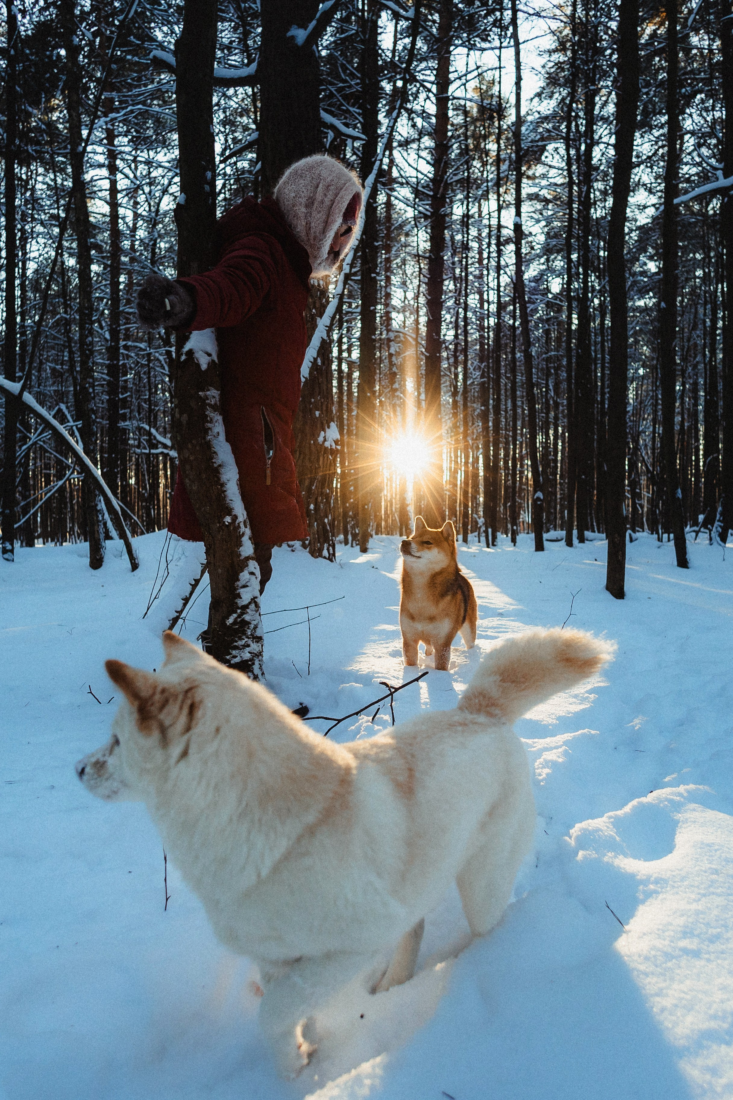 Шед, Цири и Ира
