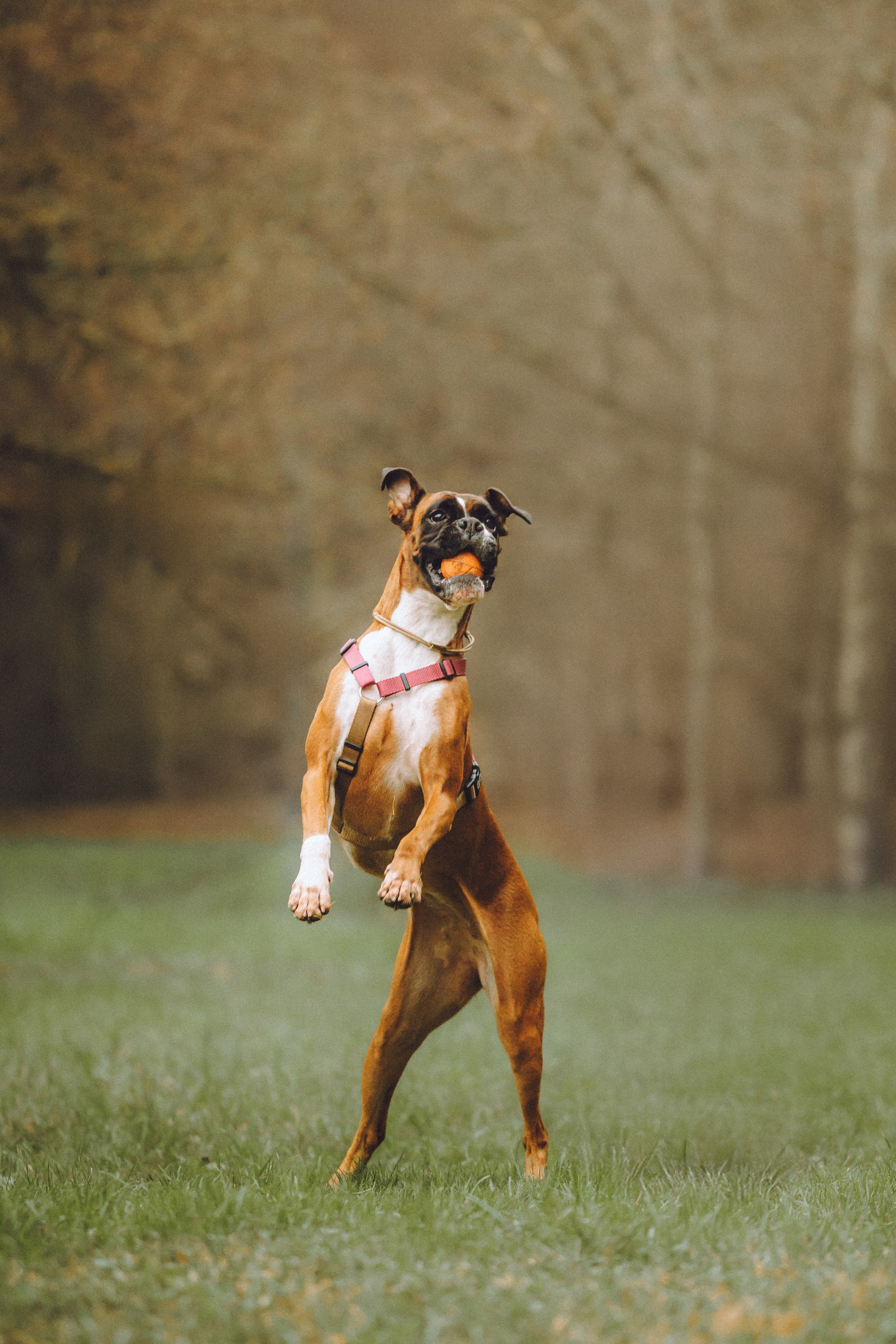 Элли и ее семья