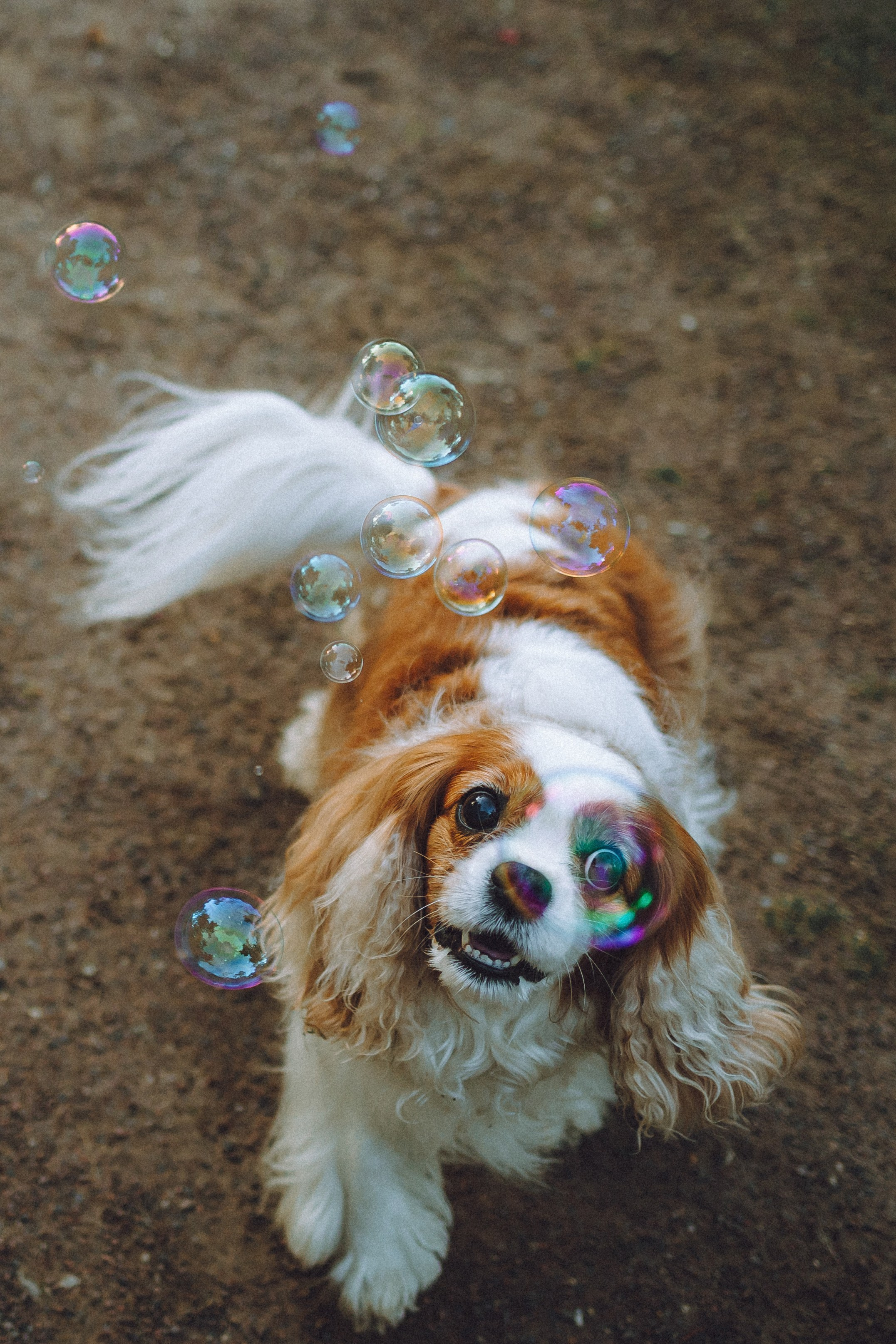 Наташа и Вики