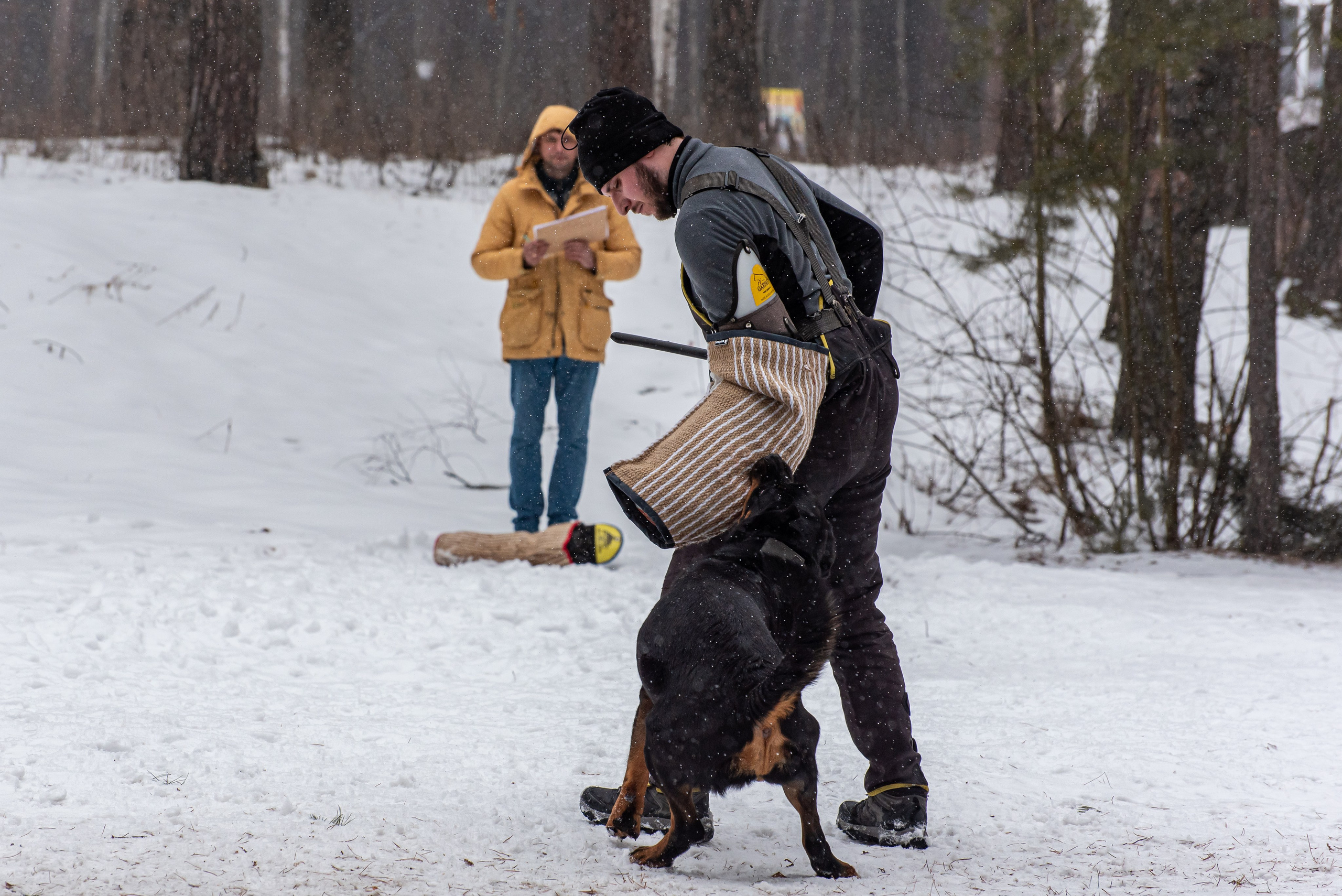 Фотосъёмка с собаками в Кинологическом лагере. Фотограф Макс Огурцов в Нижнем Новгороде