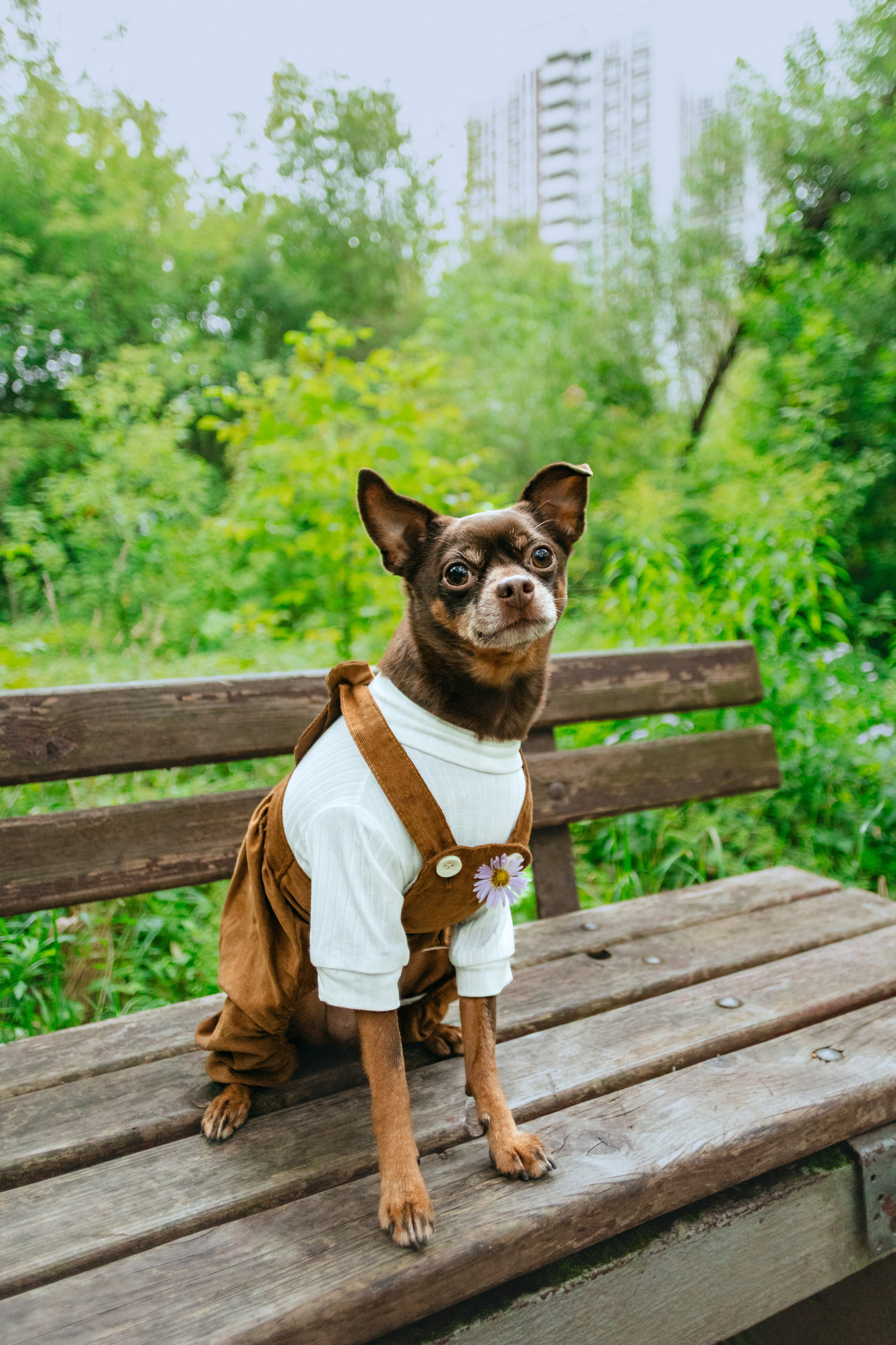 Юля и Леонид. Фотограф-анималист Татьяна Степанова