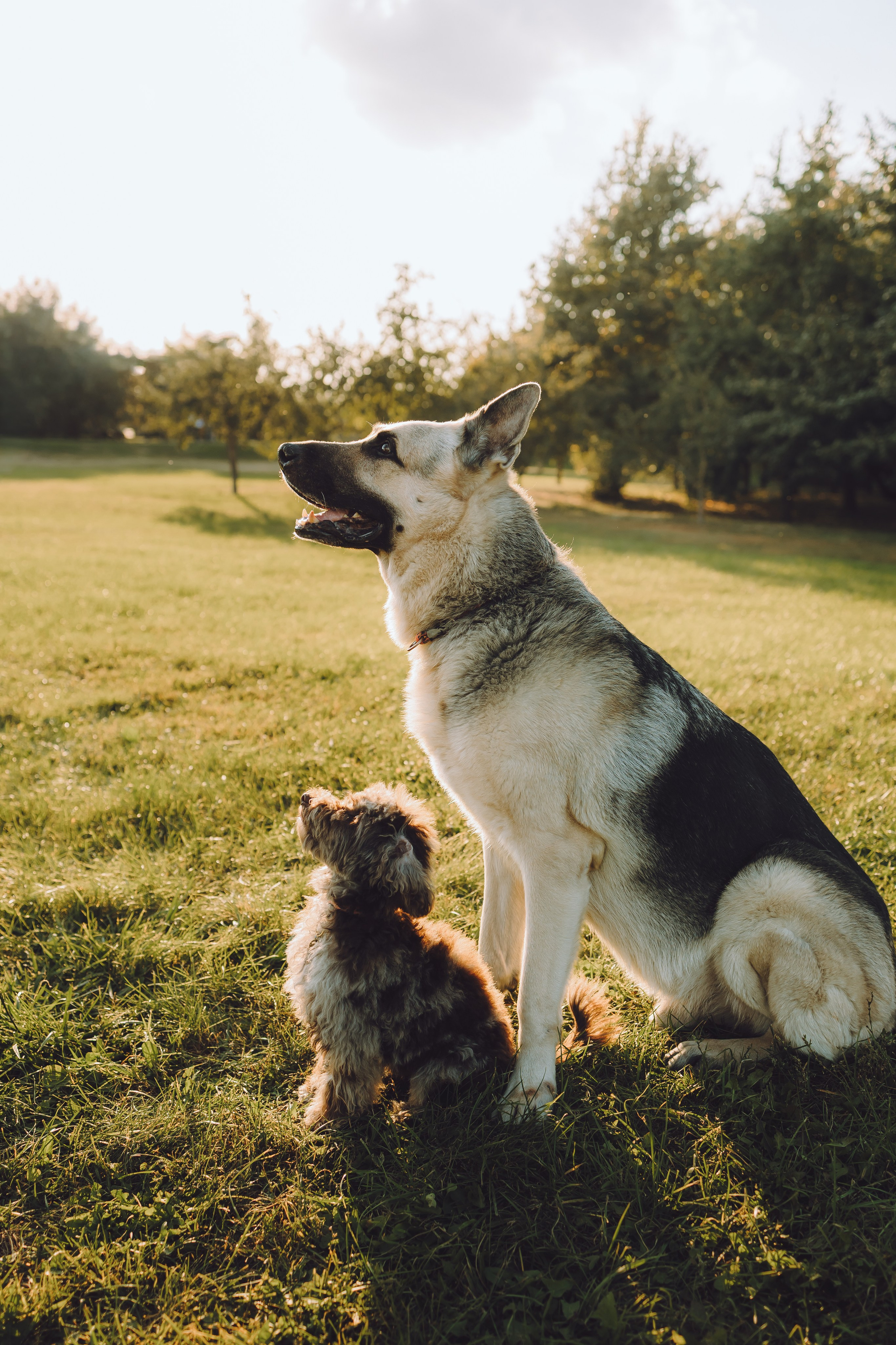 Кристина и все-все