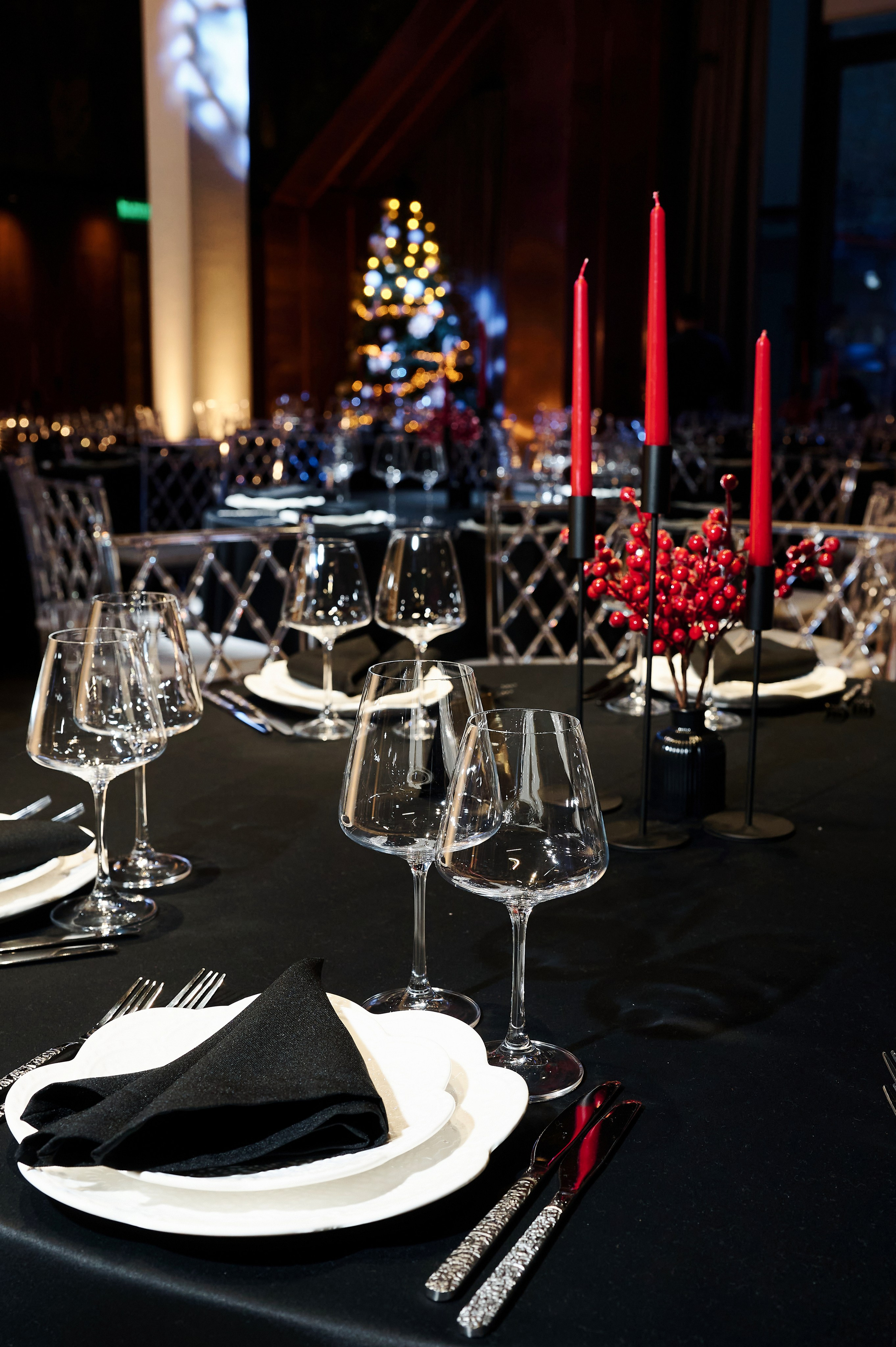 Официальное мероприятие гала, дипломаты и гости, репортажная съемка события