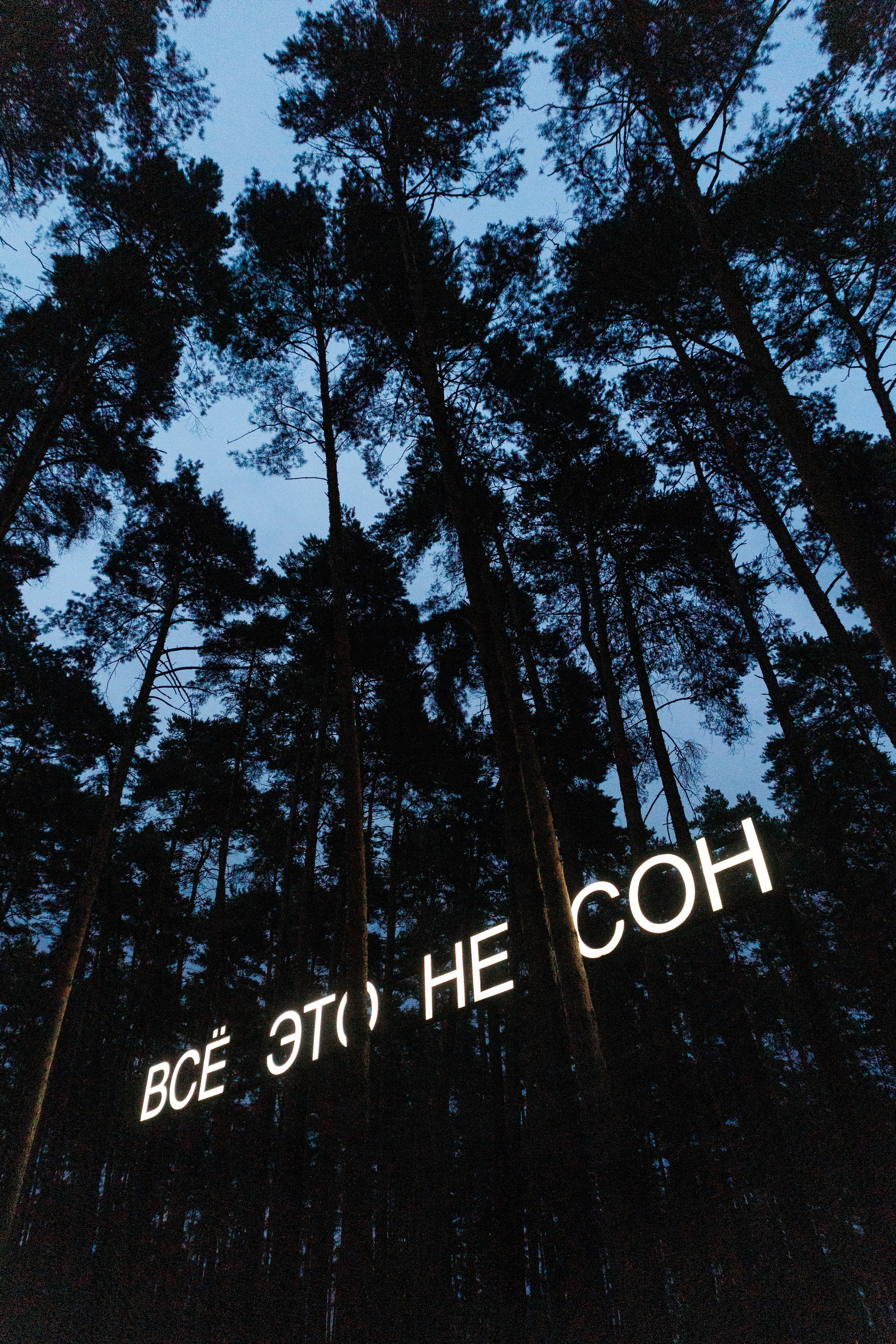 ПечаКуча 12-8-25. Фотограф городских и семейных событий Артем Карпухин