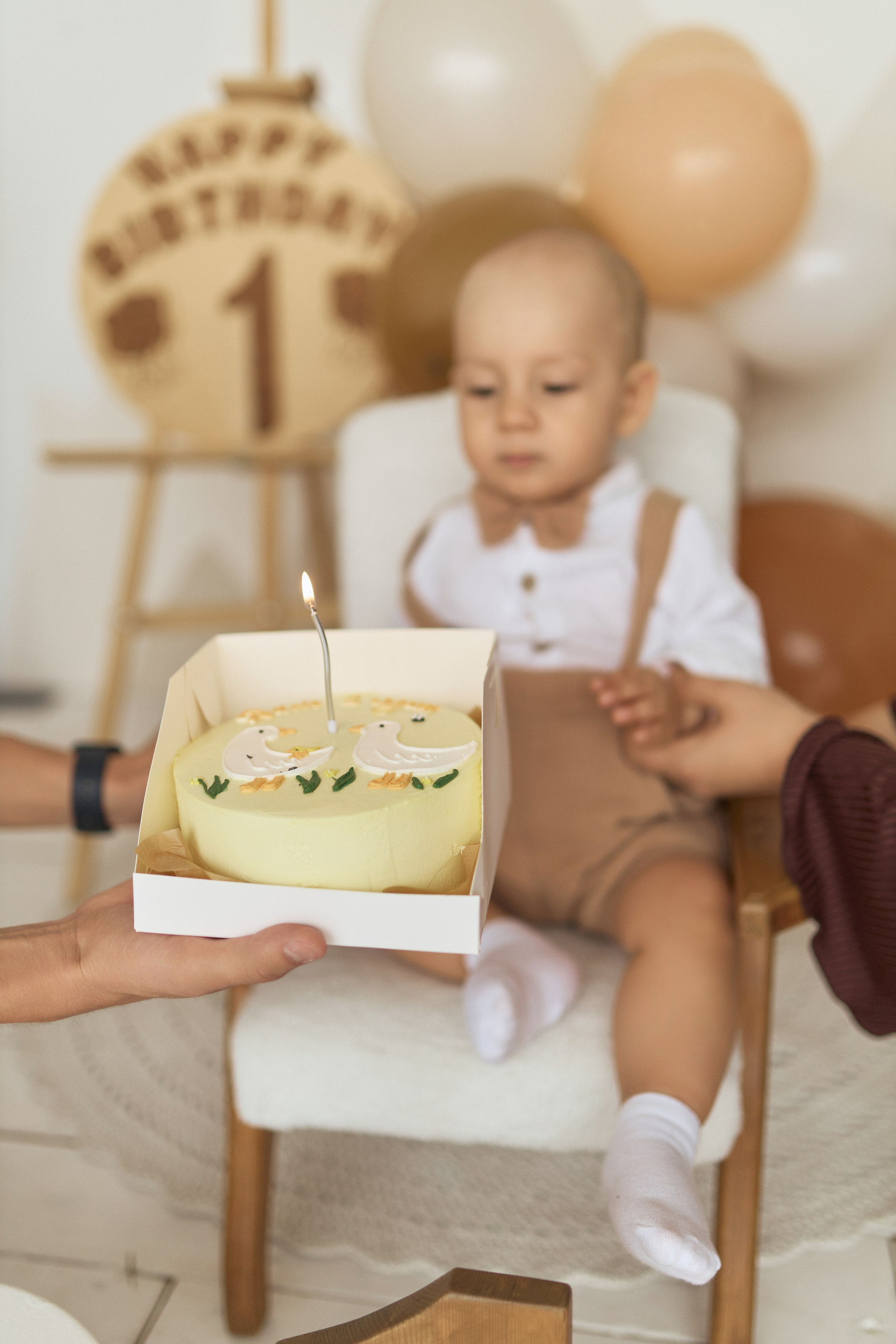 Семейная фотосессия в фотостудии. Алина Каравайцева. Фотограф в городе Барнаул