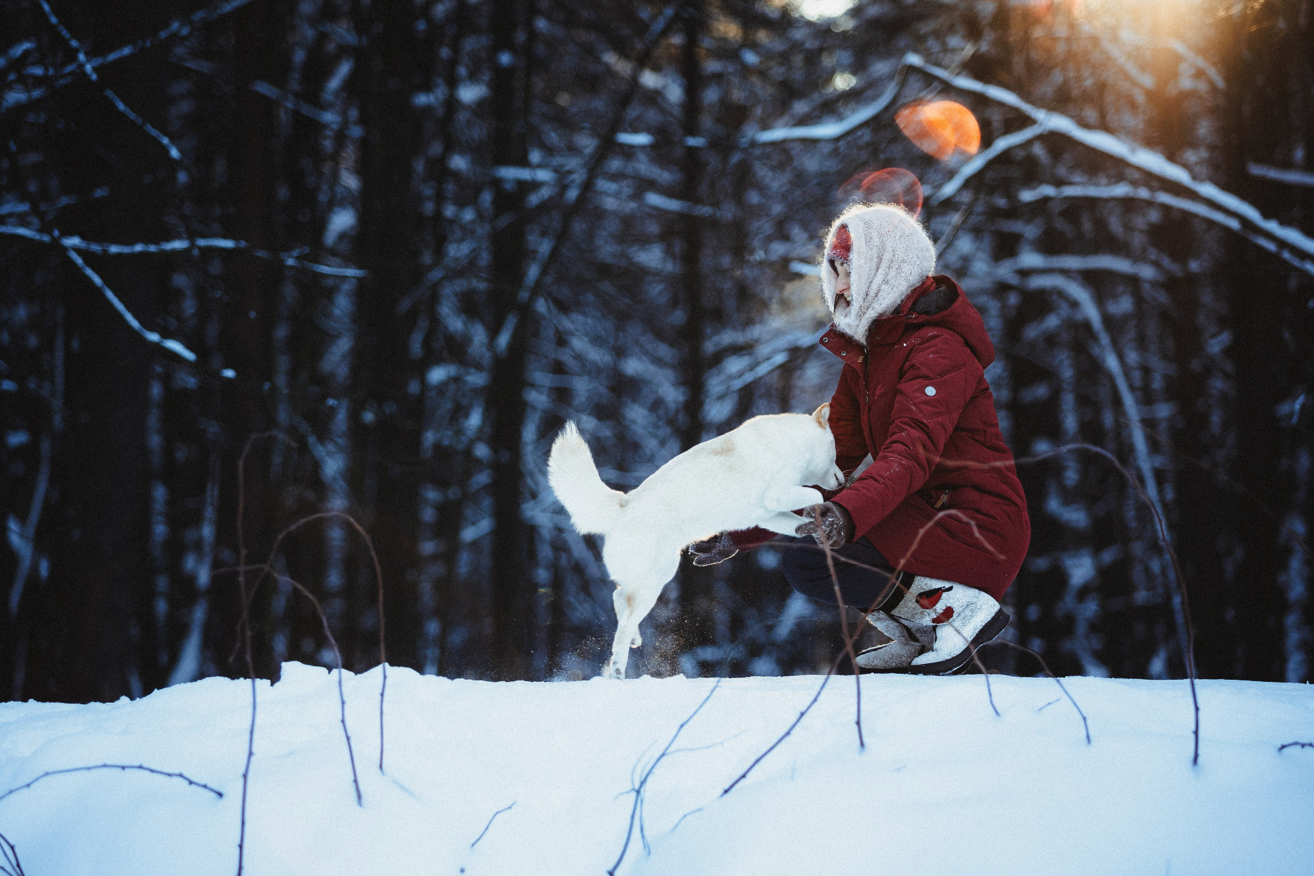 Шед, Цири и Ира