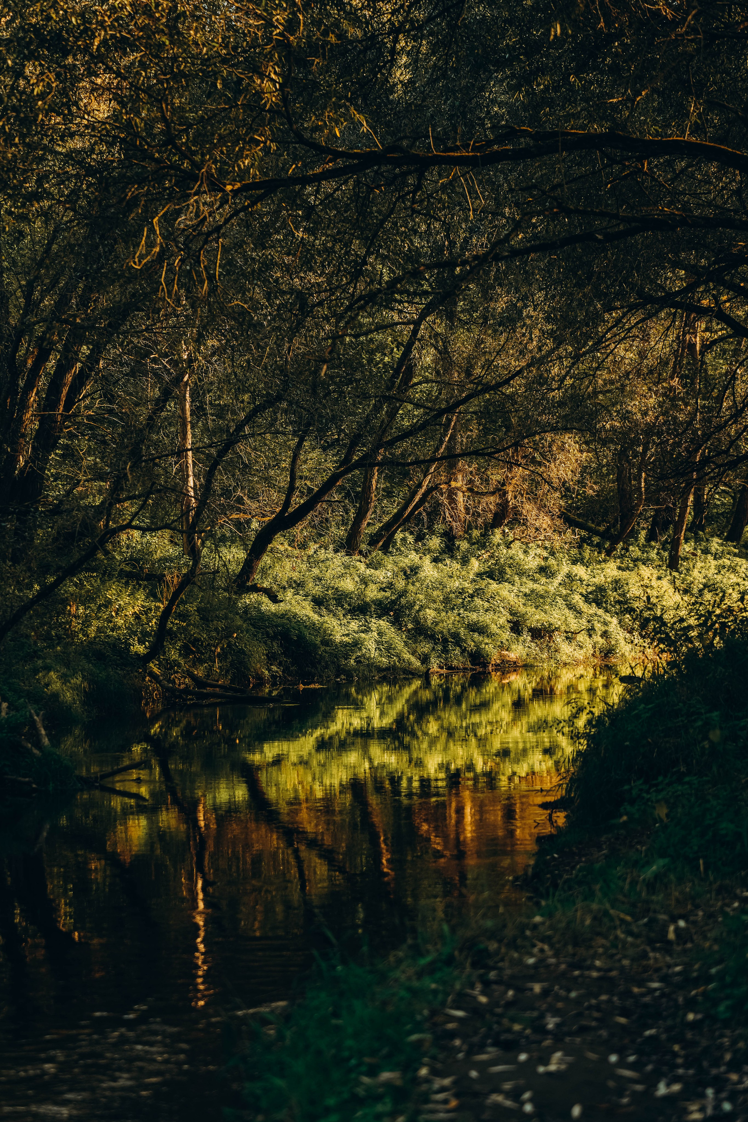 СЕВЕР. Event фотограф Степанова Александра