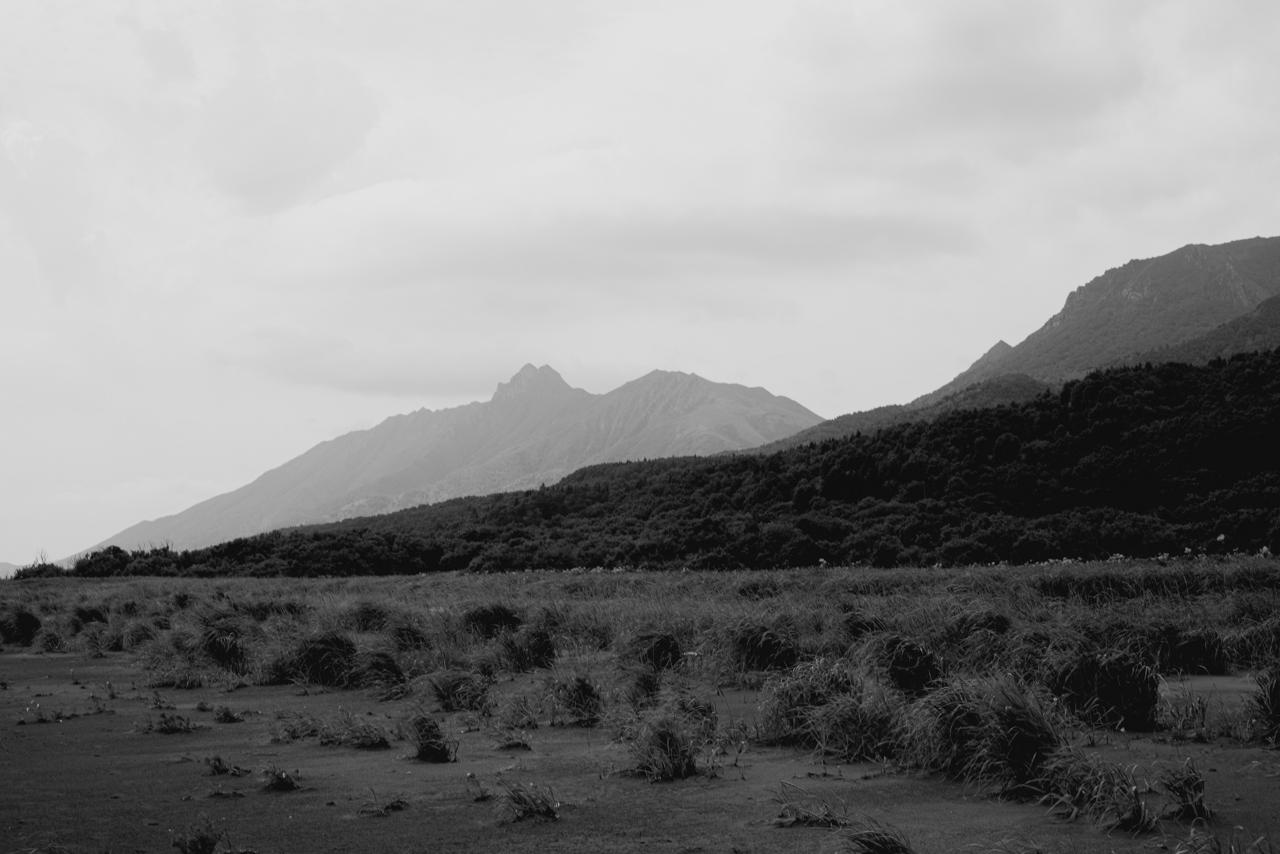 Portfolio. @beingabird.photography