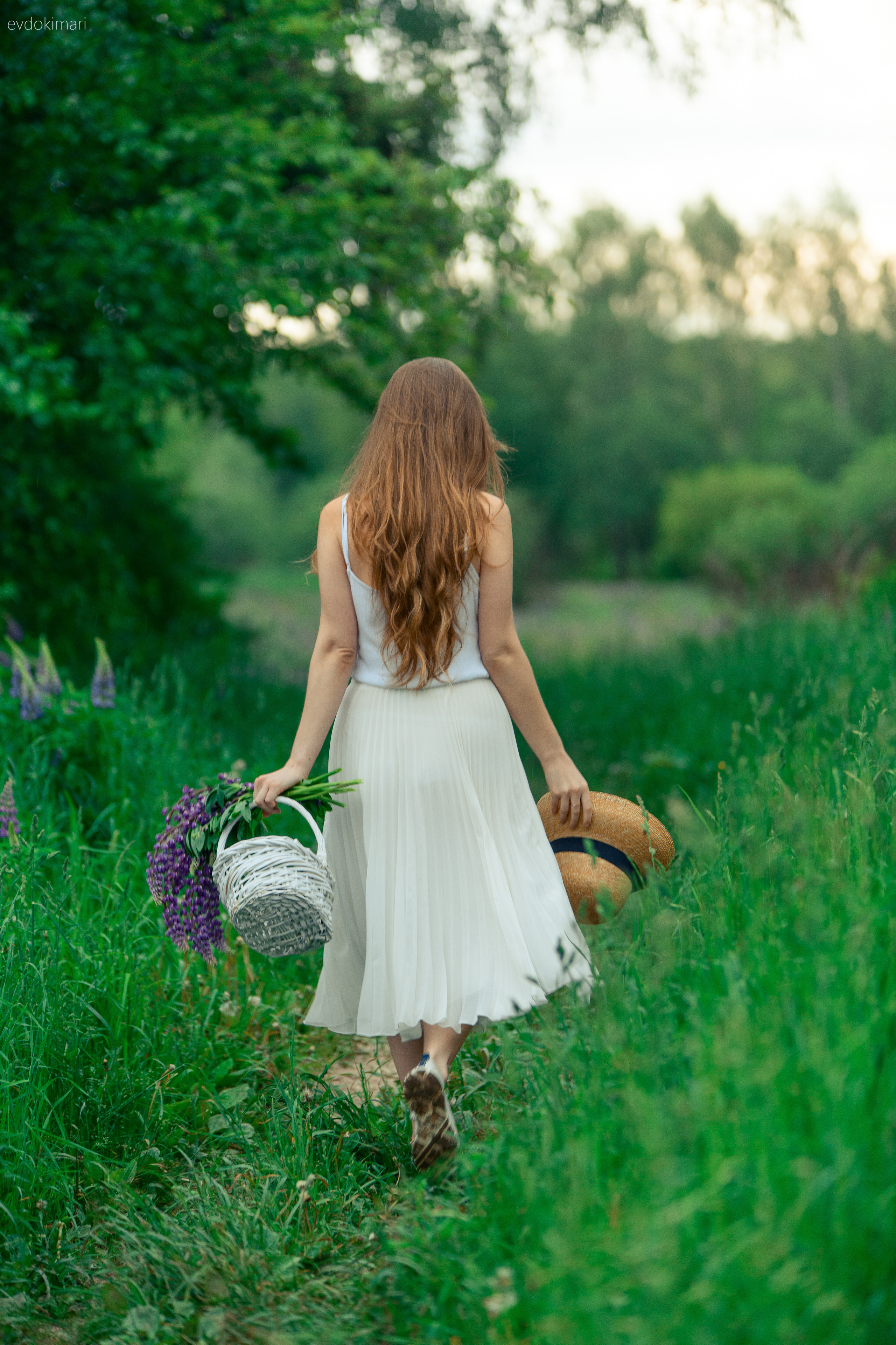 В люпиновом поле. Главная