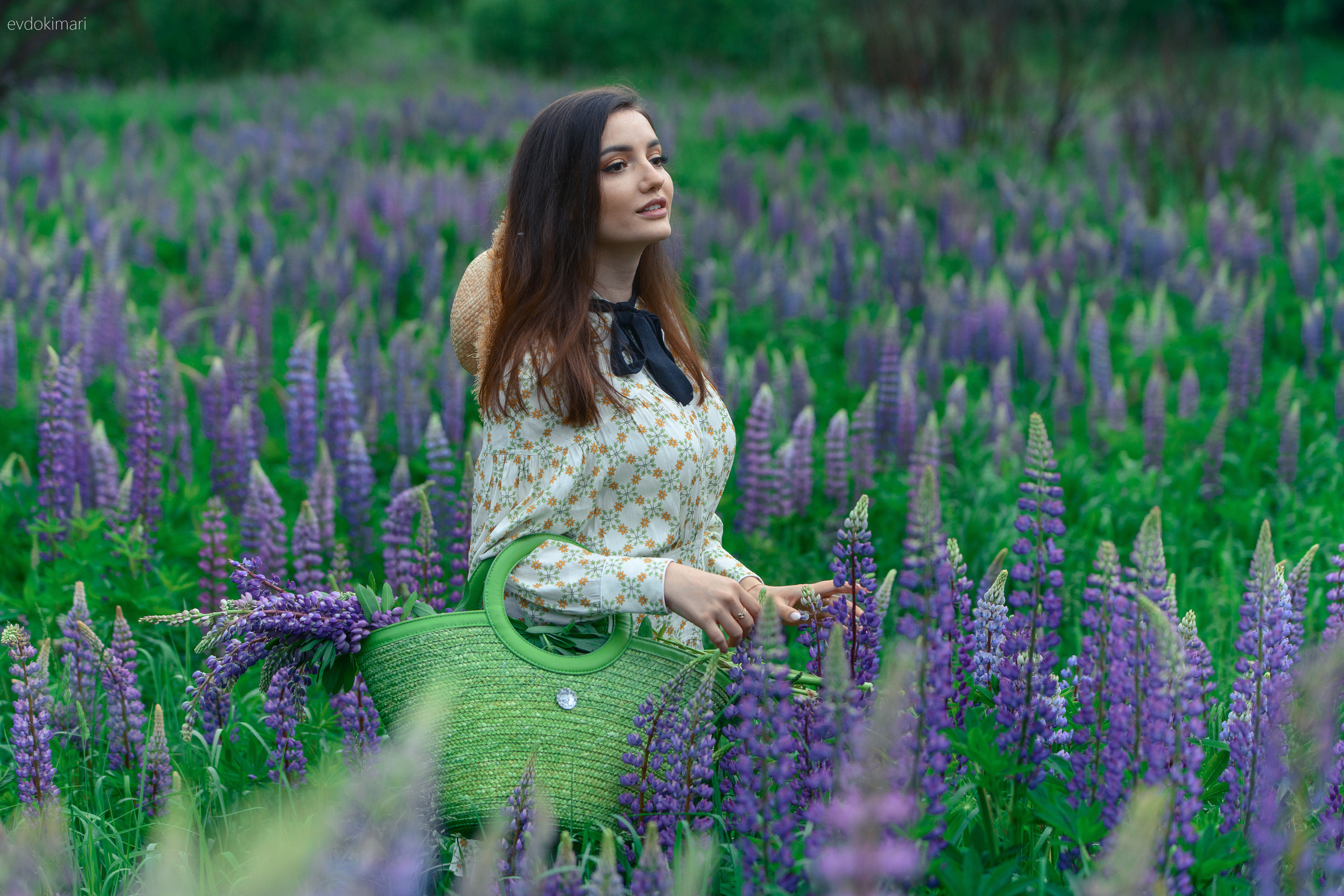 В люпиновом поле. Главная