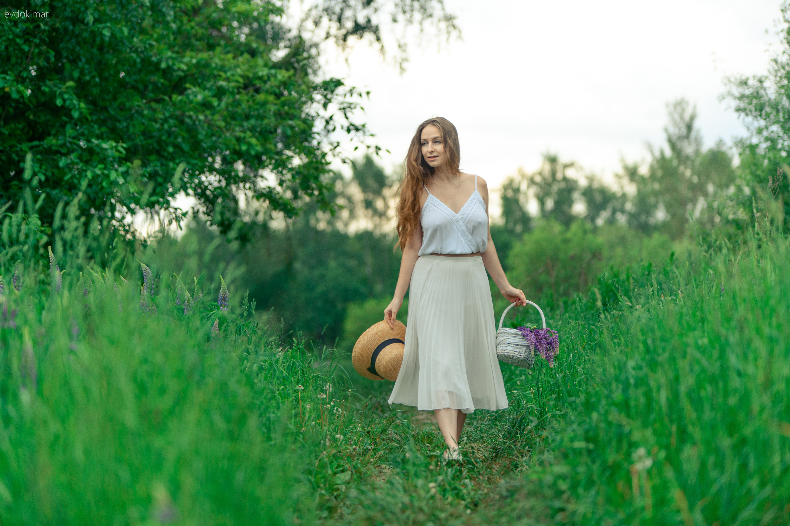 В люпиновом поле. Главная