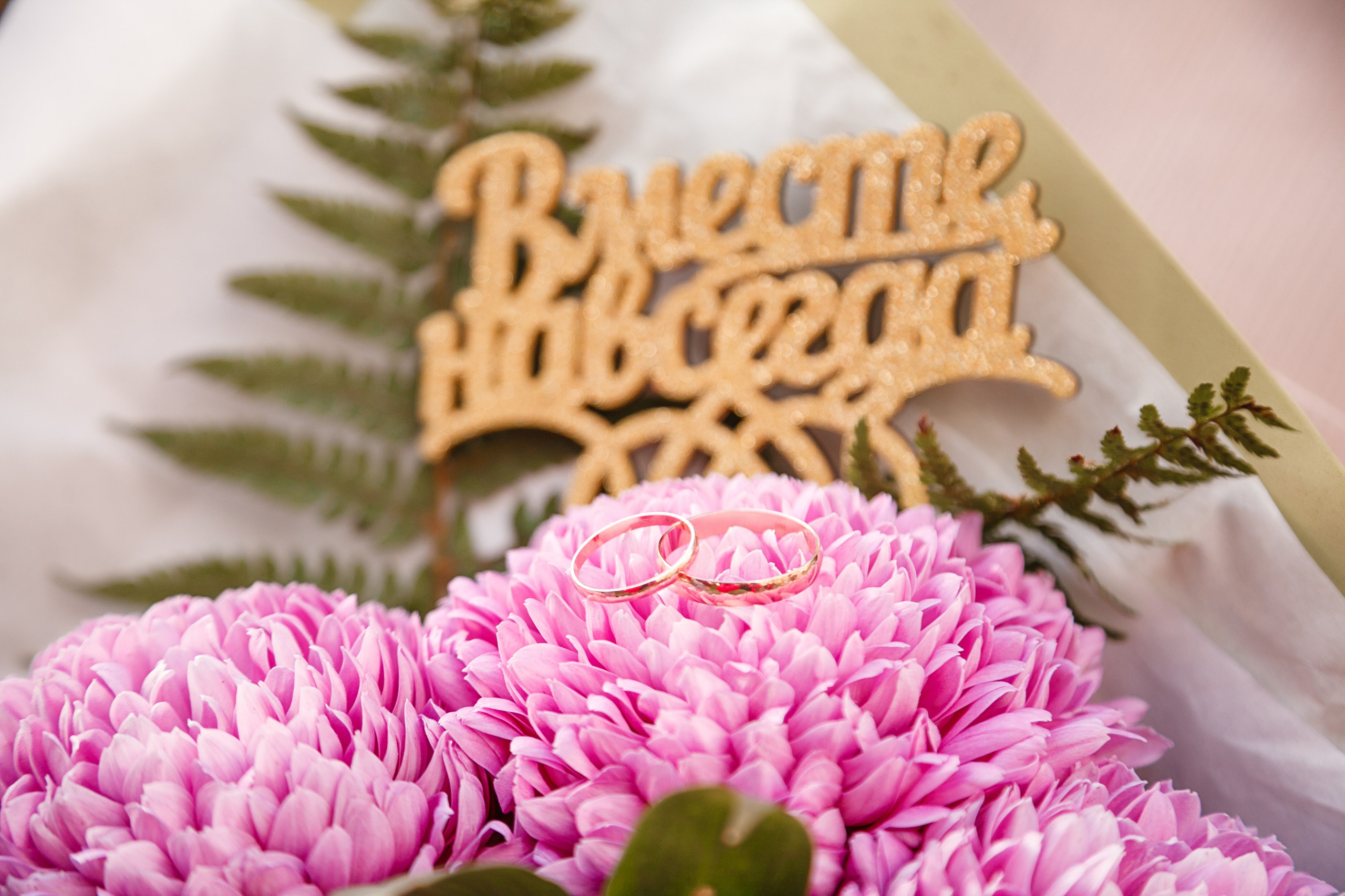 10.11.23. Свадебный и семейный фотограф в Армавире