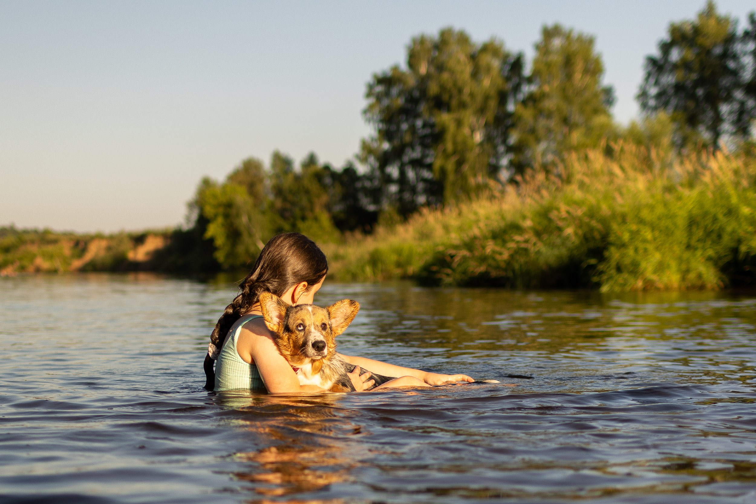 Купание щенков в стиле лайфстайл. Фотограф-анималист в Москве и Московской области Татьяна Фролова