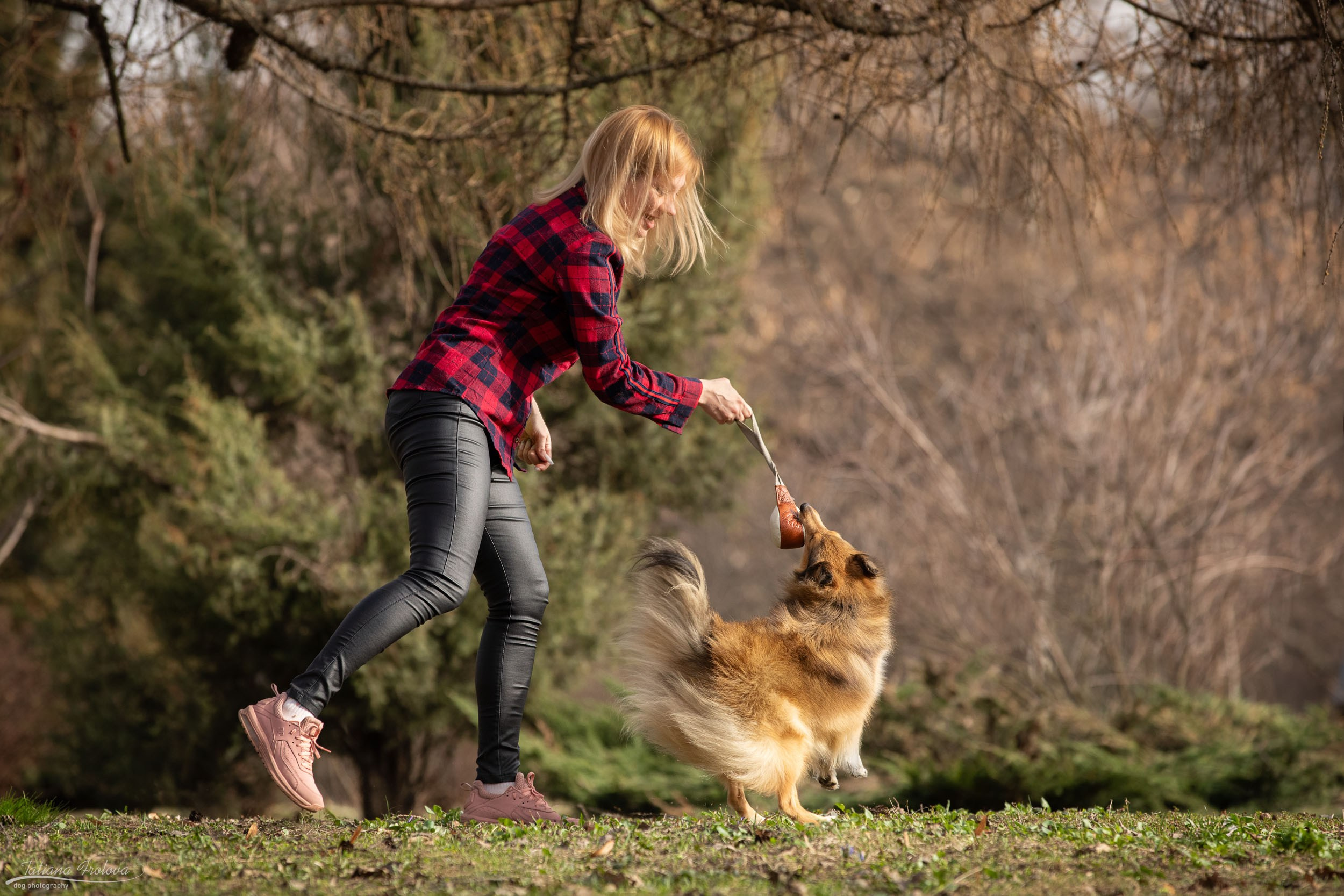 Фотопрогулка для шелти и её хозяйки в Ботаническом саду. Фотограф-анималист в Москве и Московской области Татьяна Фролова