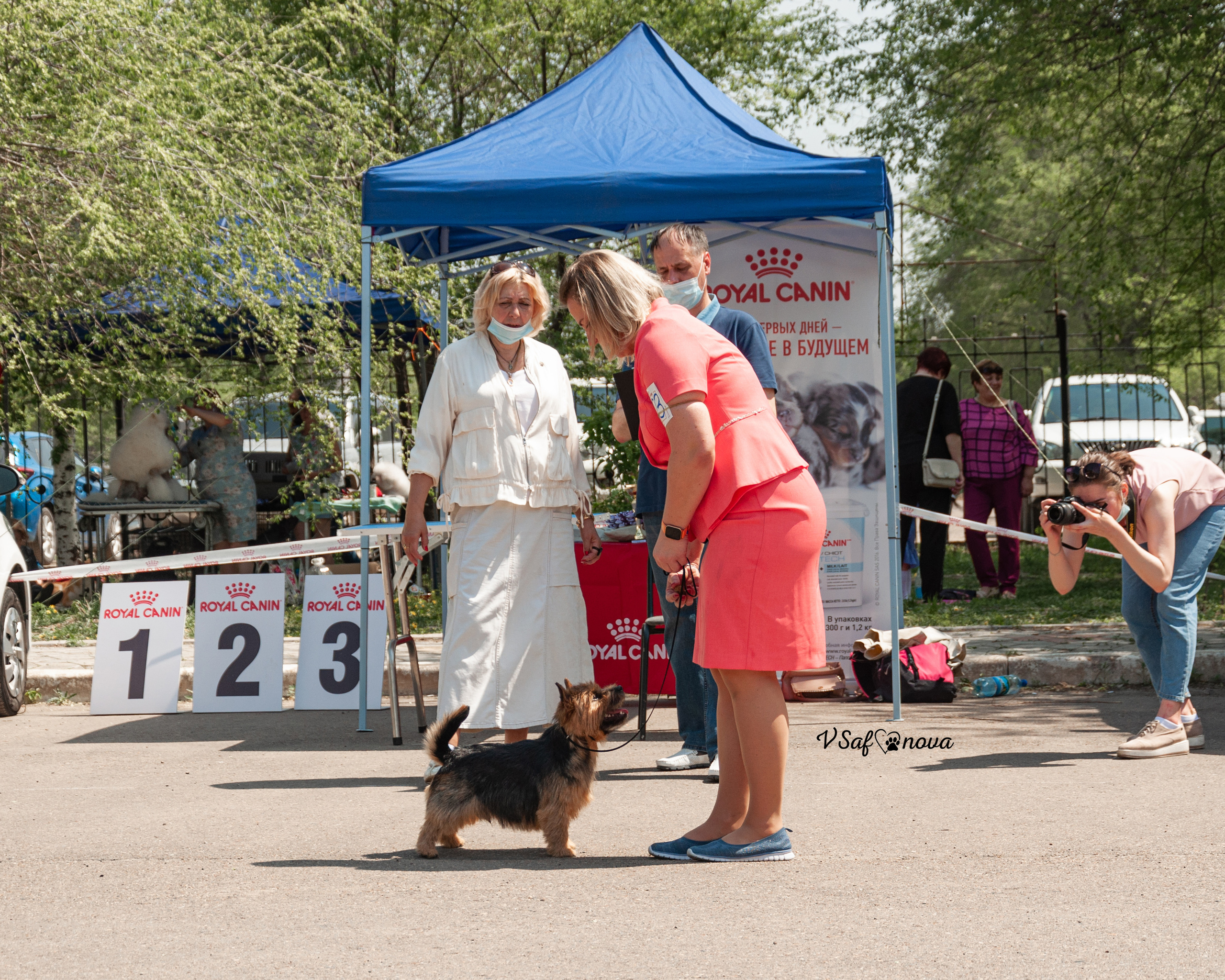 22–23 мая 2021 Благовещенск. Фотограф анималист Благовещенск. Сафонова Виктория