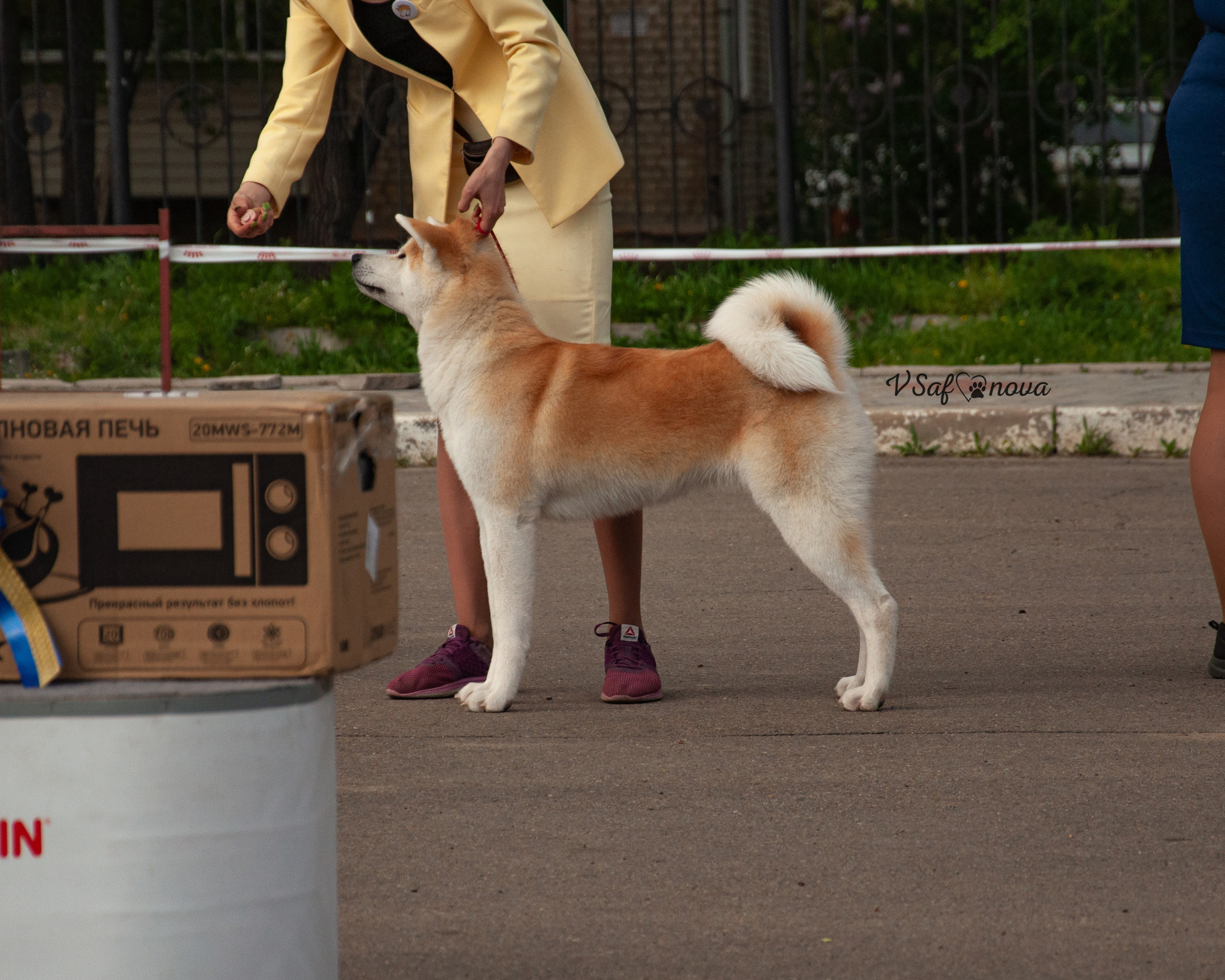 22–23 мая 2021 Благовещенск. Фотограф анималист Благовещенск. Сафонова Виктория