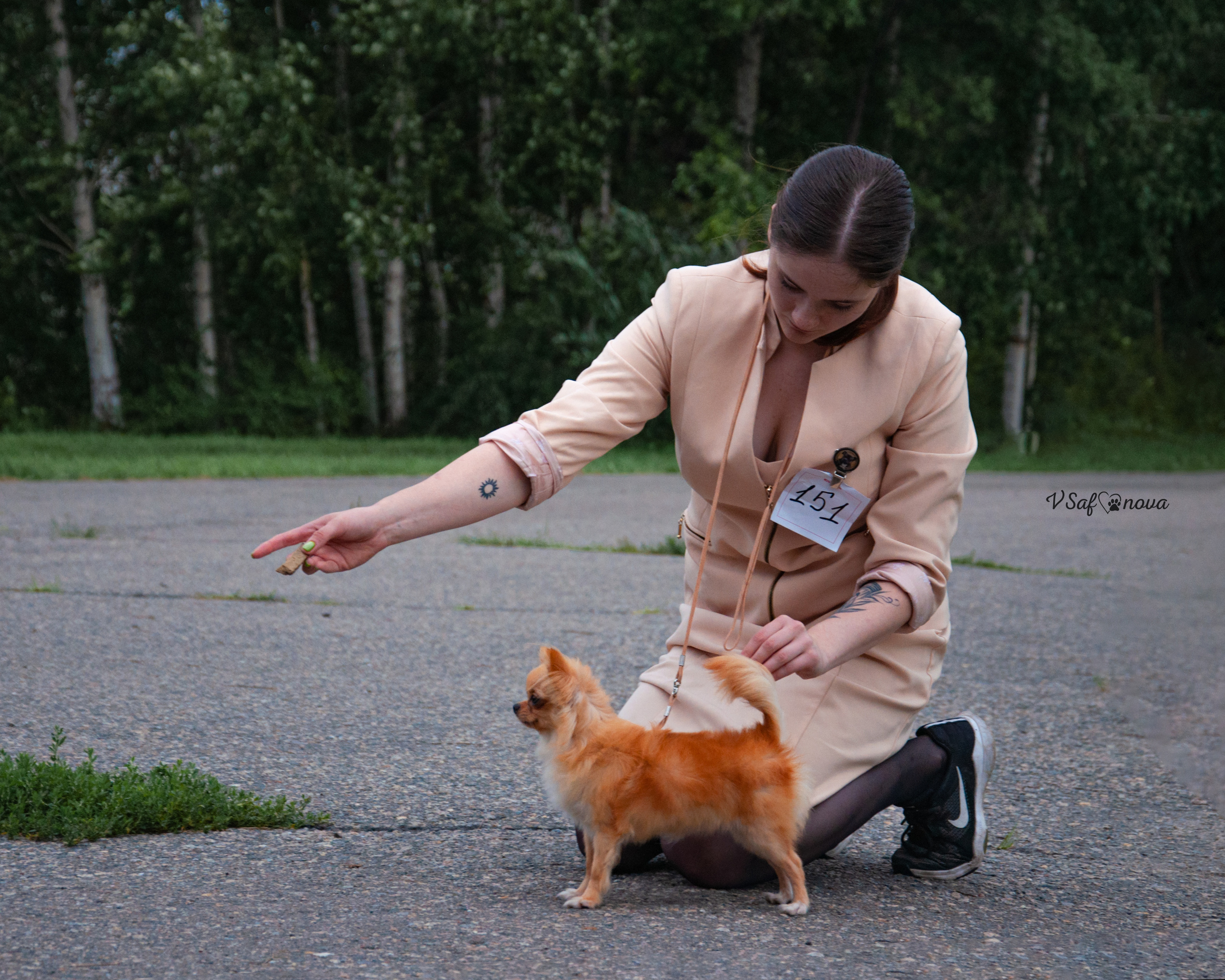 7–8 августа 2021 Благовещенск. Фотограф анималист Благовещенск. Сафонова Виктория