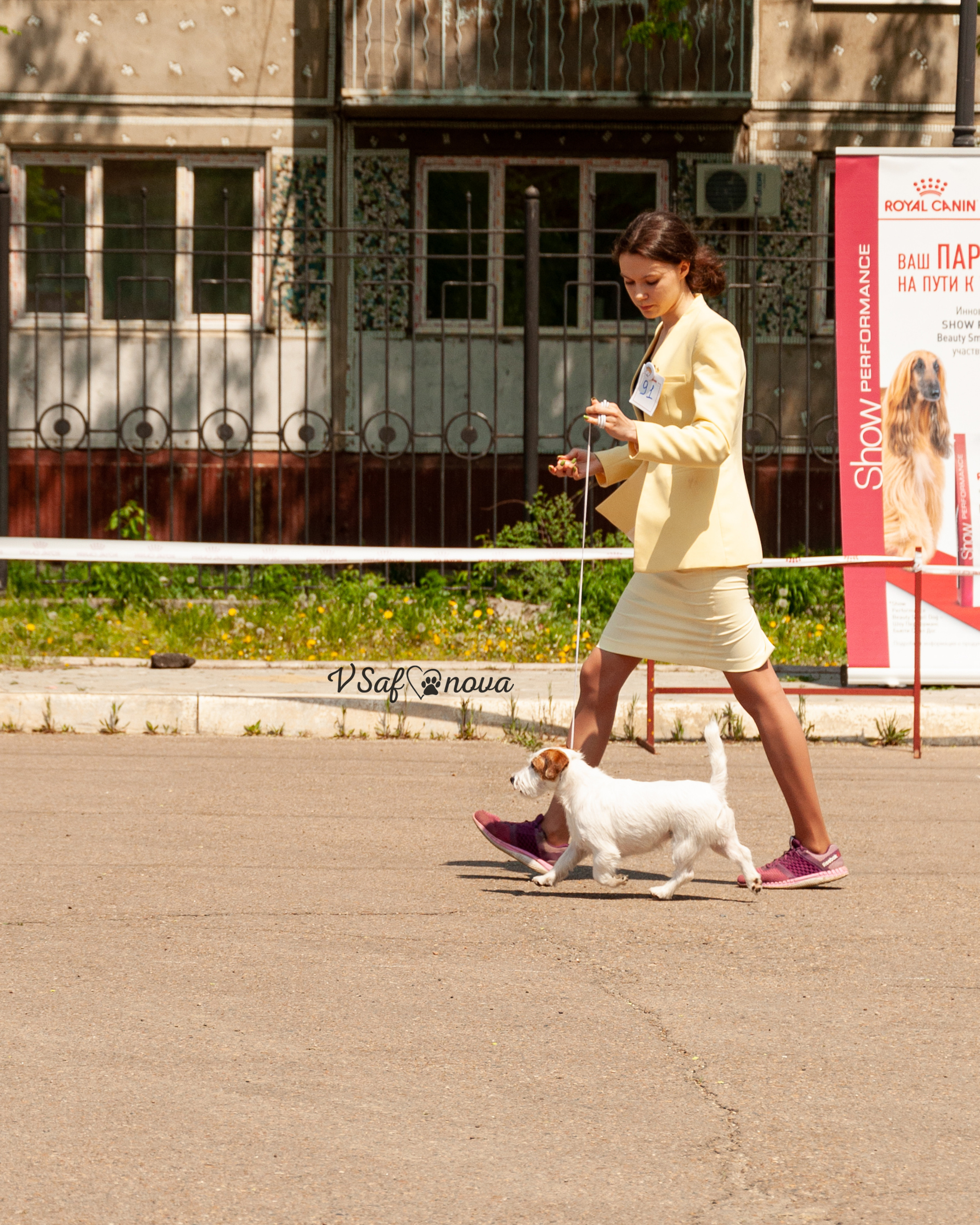 22–23 мая 2021 Благовещенск. Фотограф анималист Благовещенск. Сафонова Виктория