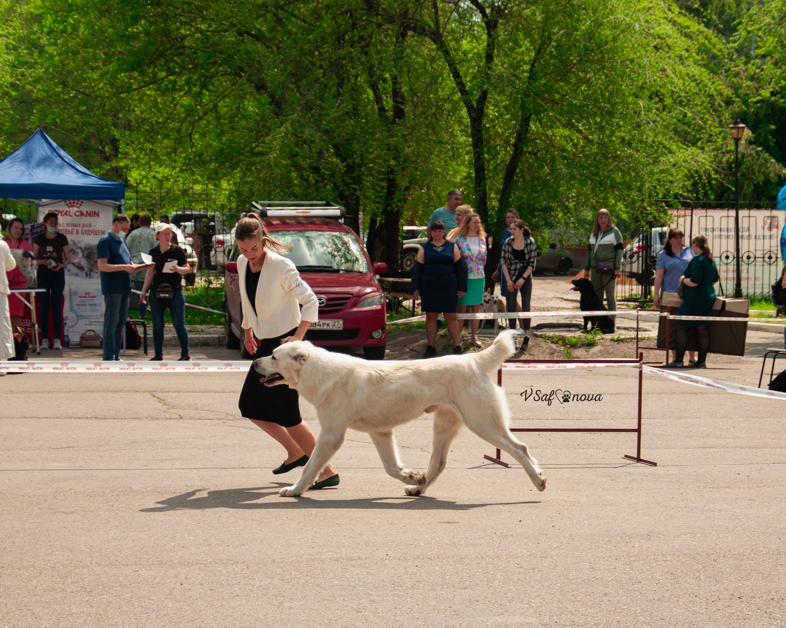 22–23 мая 2021 Благовещенск. Фотограф анималист Благовещенск. Сафонова Виктория