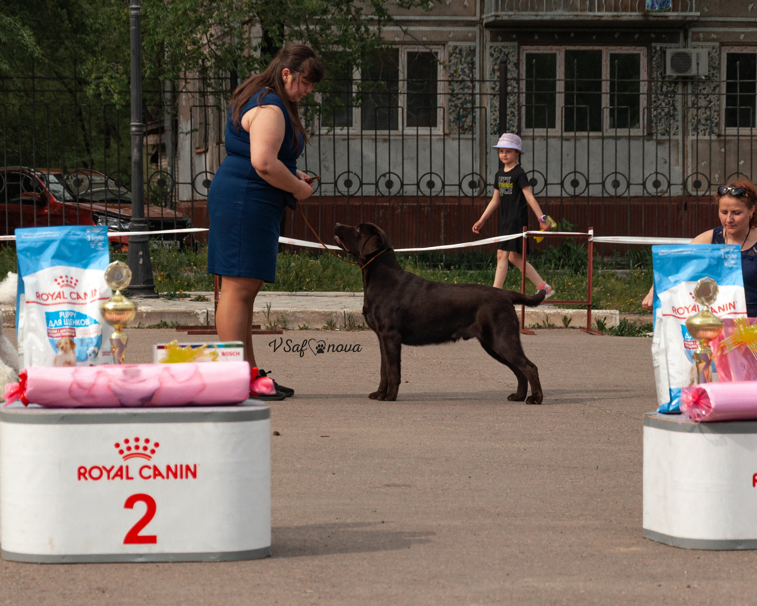 22–23 мая 2021 Благовещенск. Фотограф анималист Благовещенск. Сафонова Виктория