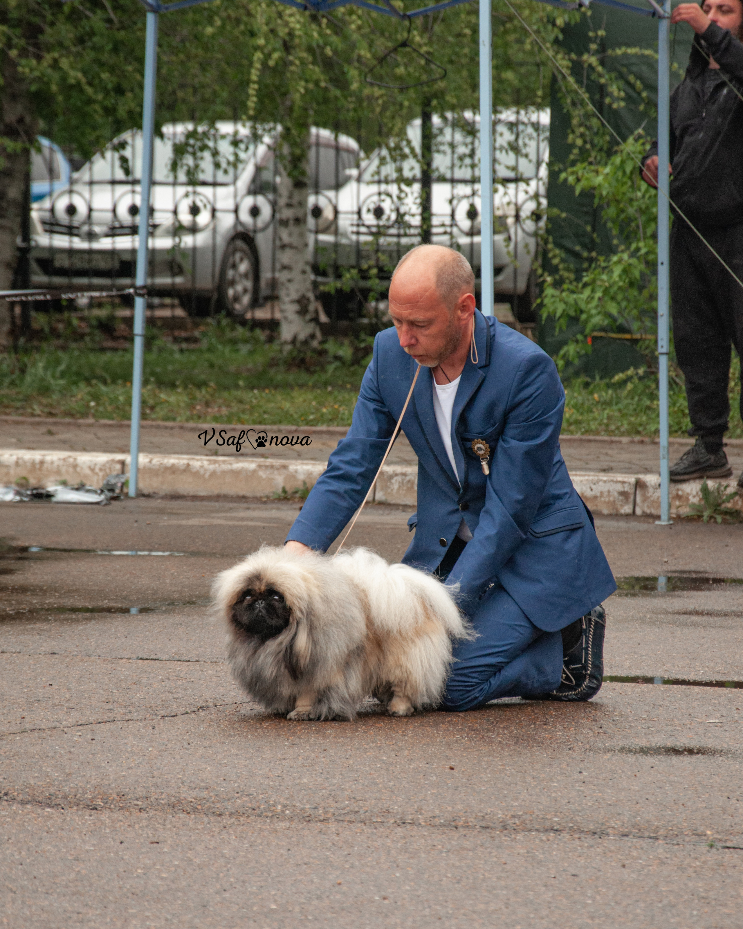 22–23 мая 2021 Благовещенск. Фотограф анималист Благовещенск. Сафонова Виктория