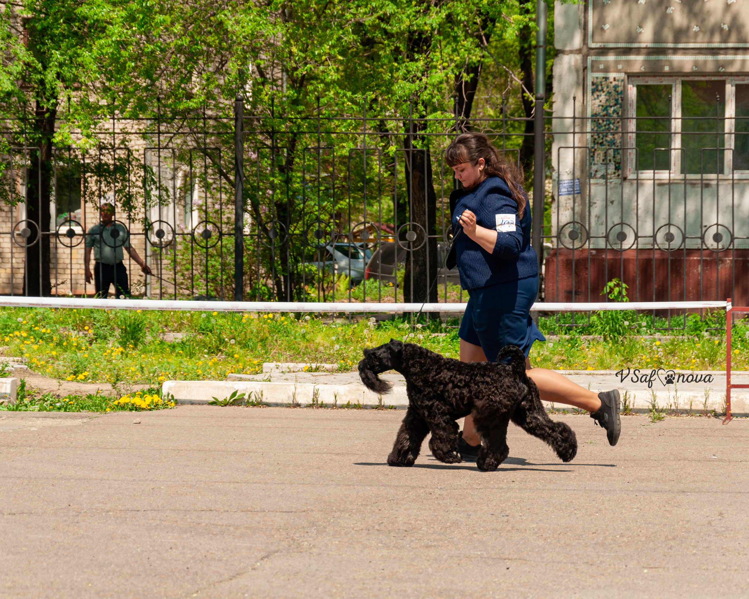 22–23 мая 2021 Благовещенск. Фотограф анималист Благовещенск. Сафонова Виктория