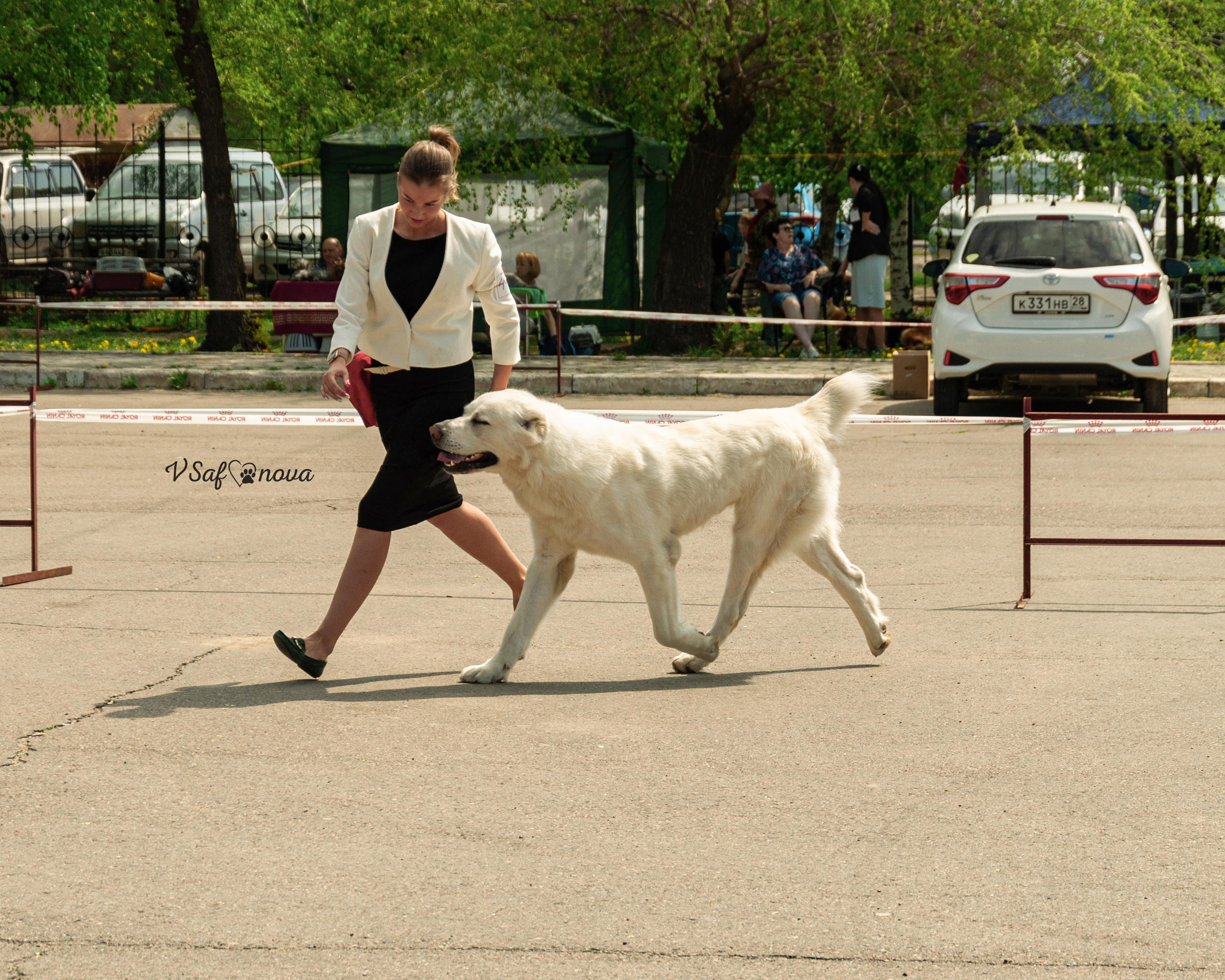 22–23 мая 2021 Благовещенск. Фотограф анималист Благовещенск. Сафонова Виктория