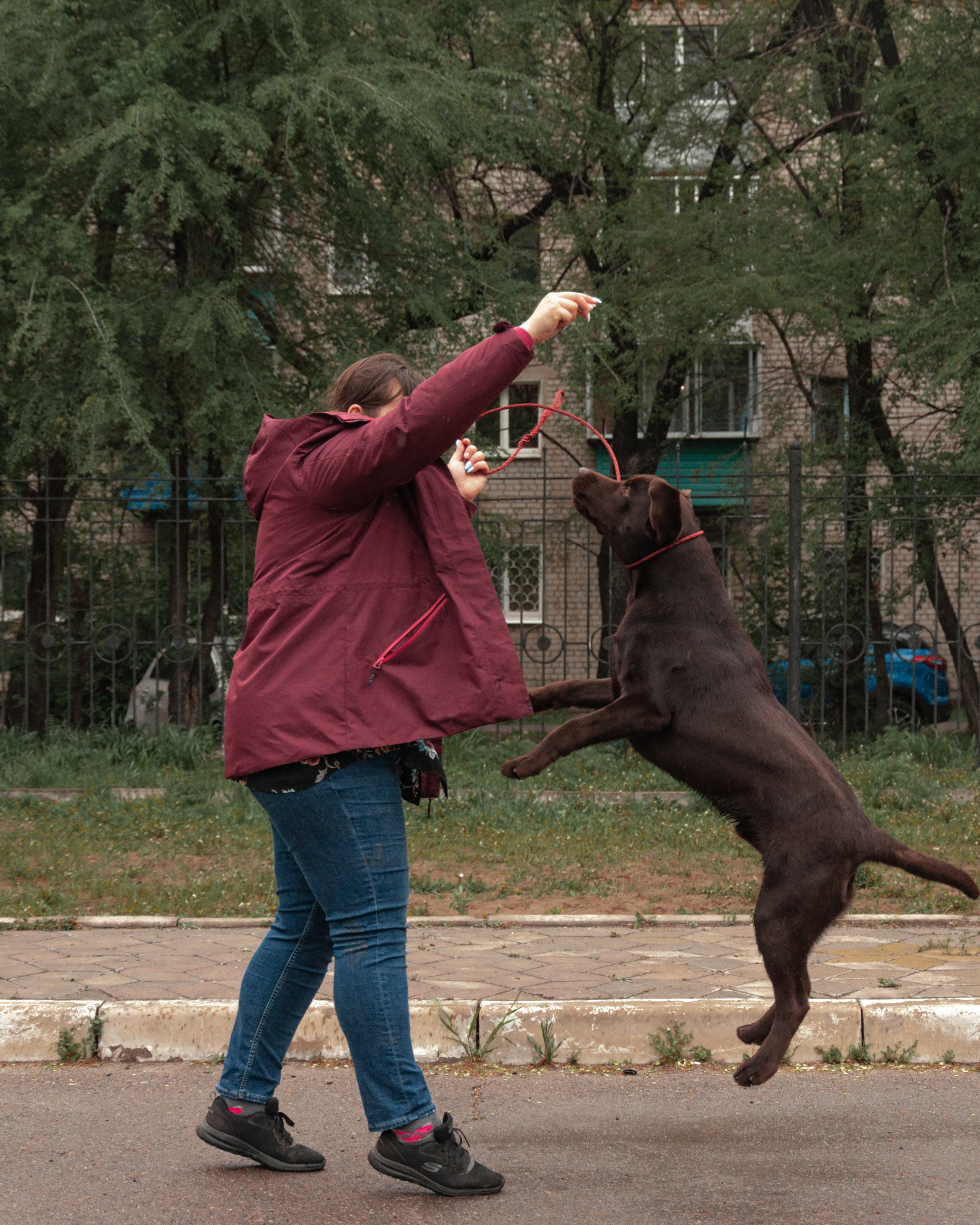 22–23 мая 2021 Благовещенск. Фотограф анималист Благовещенск. Сафонова Виктория